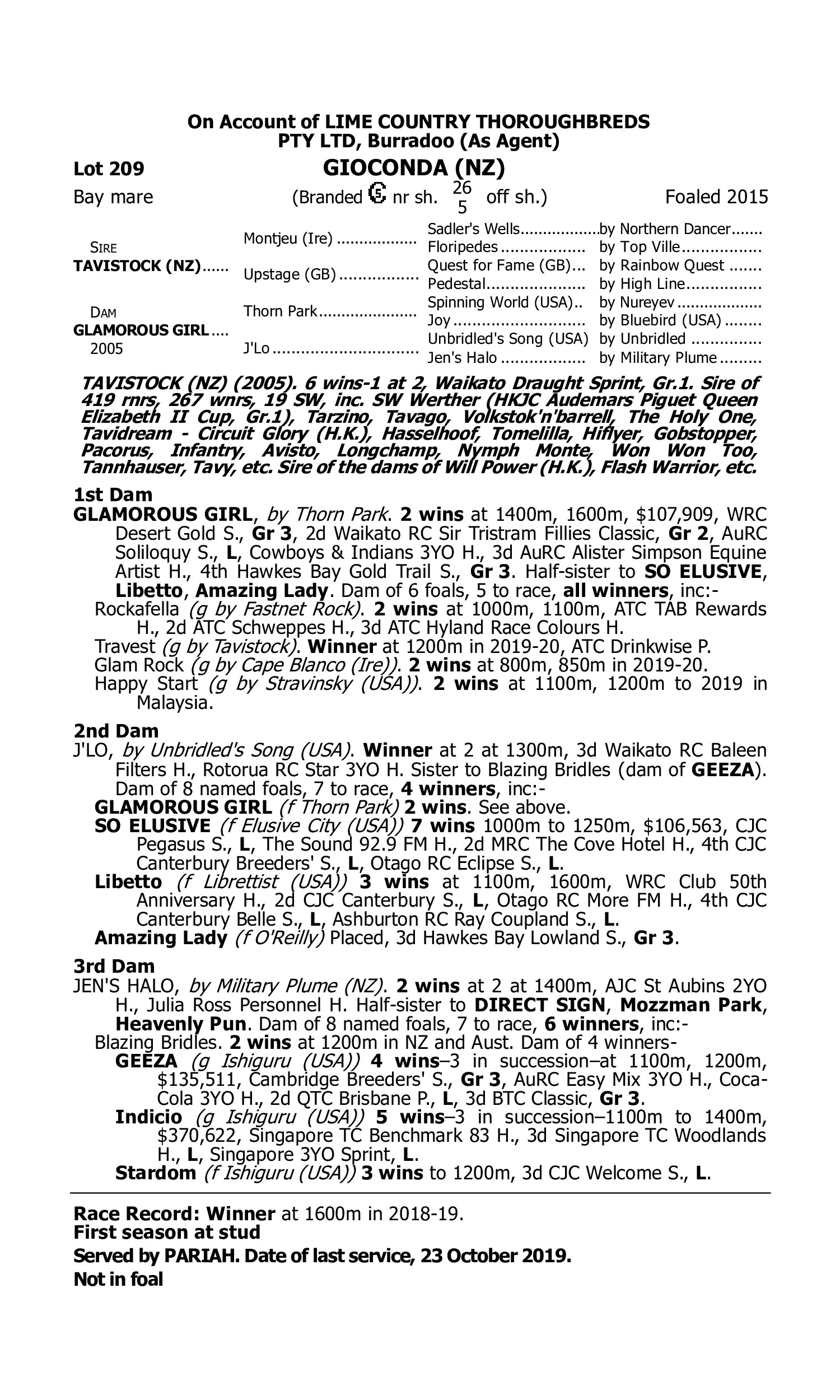 Pedigree for Lot 209 Tavistock (NZ) - Glamorous Girl (NZ)