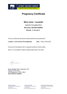 Pregnancy Certificate for Lot 289