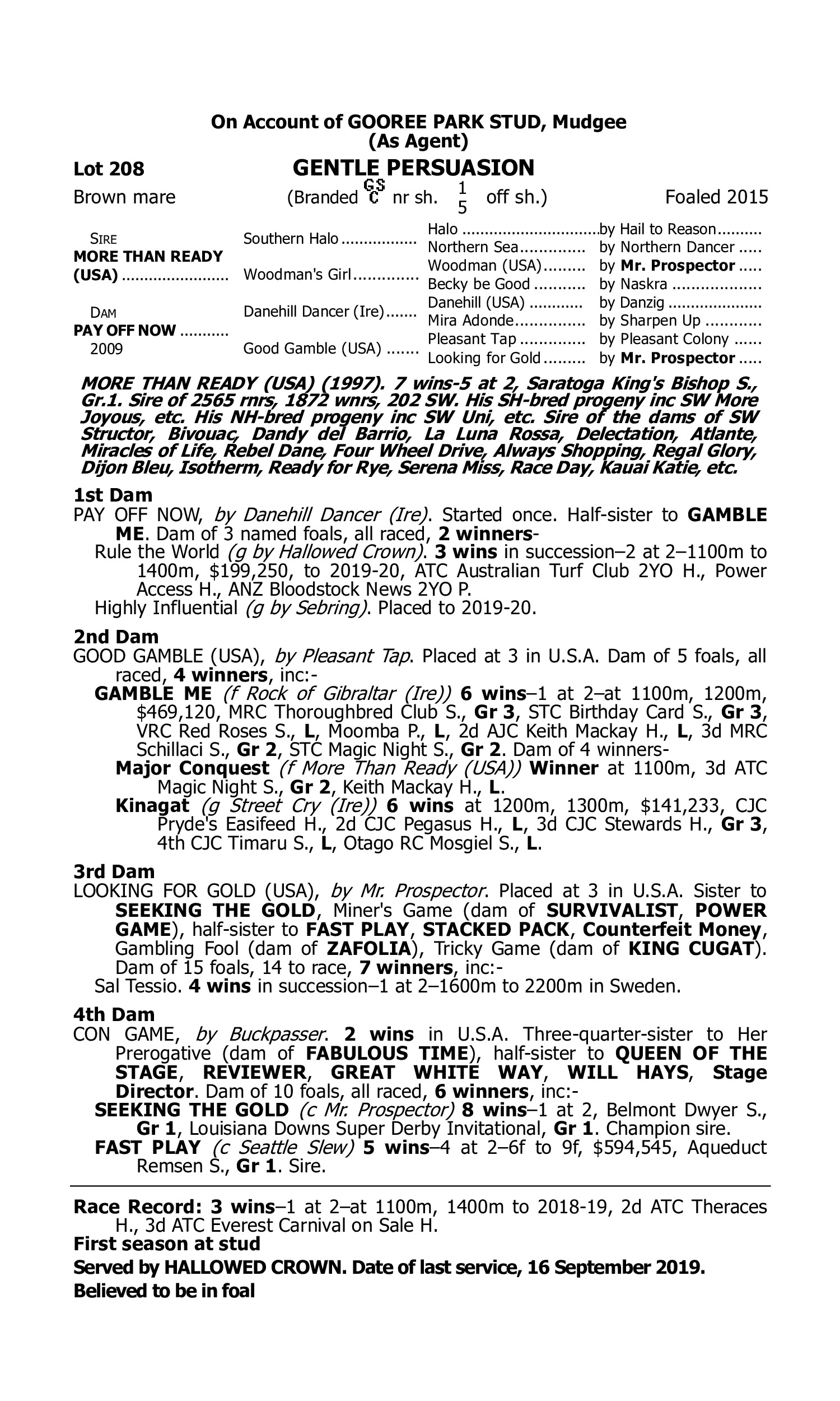 Pedigree for Lot 208 More Than Ready (USA) - Pay Off Now