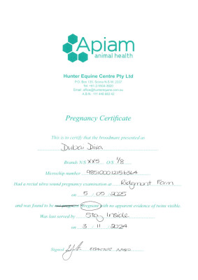 Pregnancy Certificate for Lot 263
