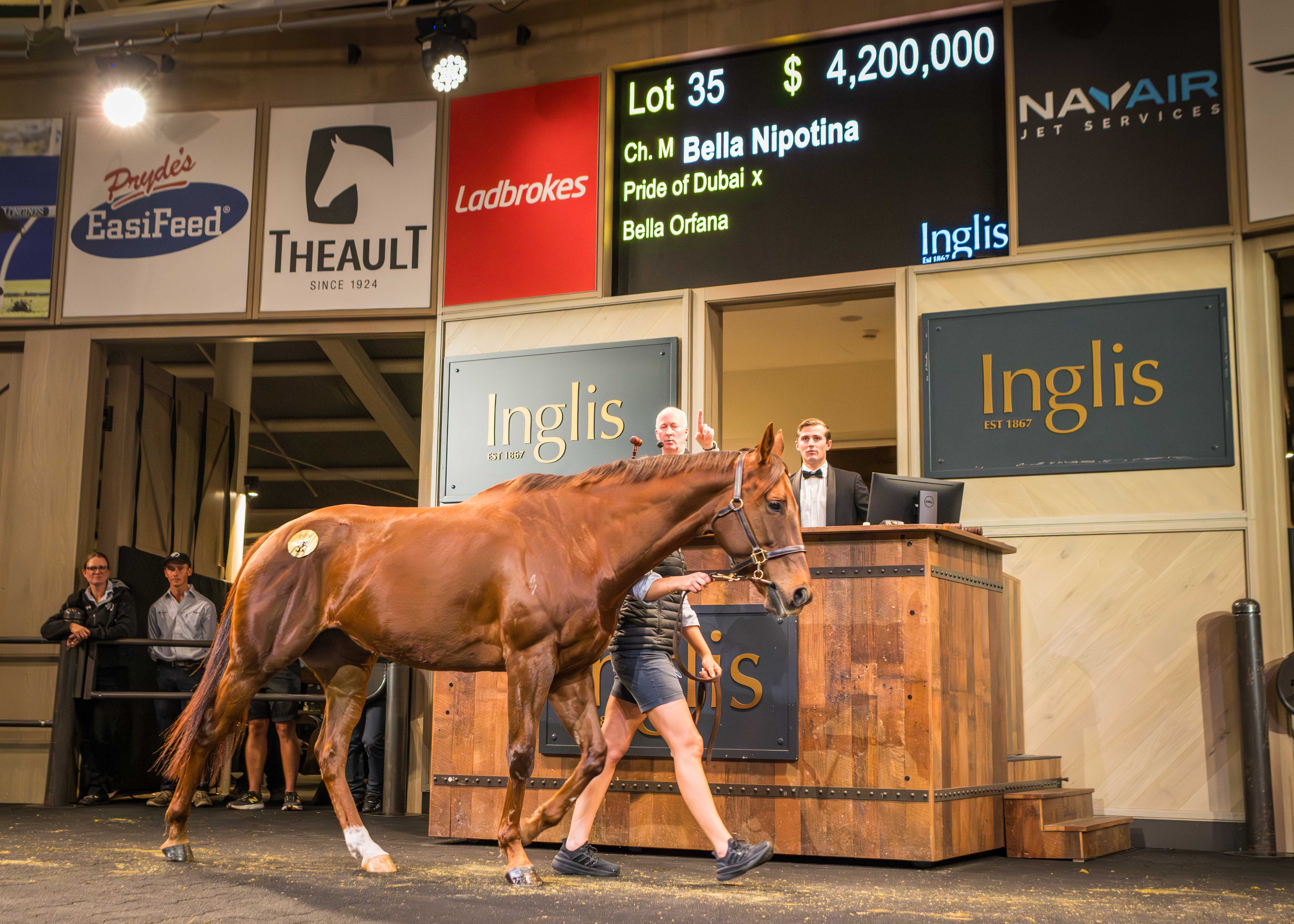 Bella Nipotina sells for $4.2m at spectacular Chairman's Sale 