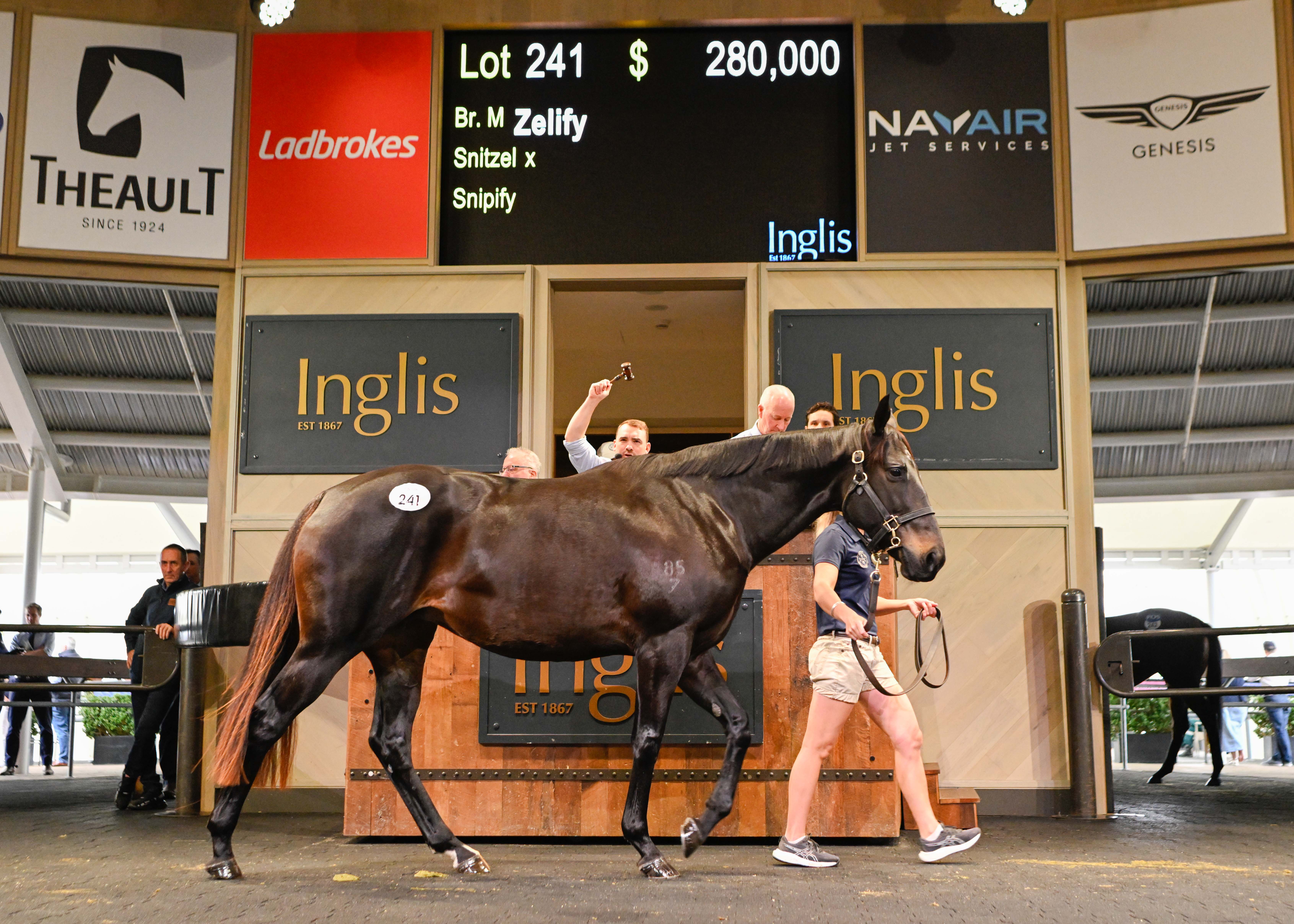 Record-breaking Sydney Breeding Stock Sales Series concludes