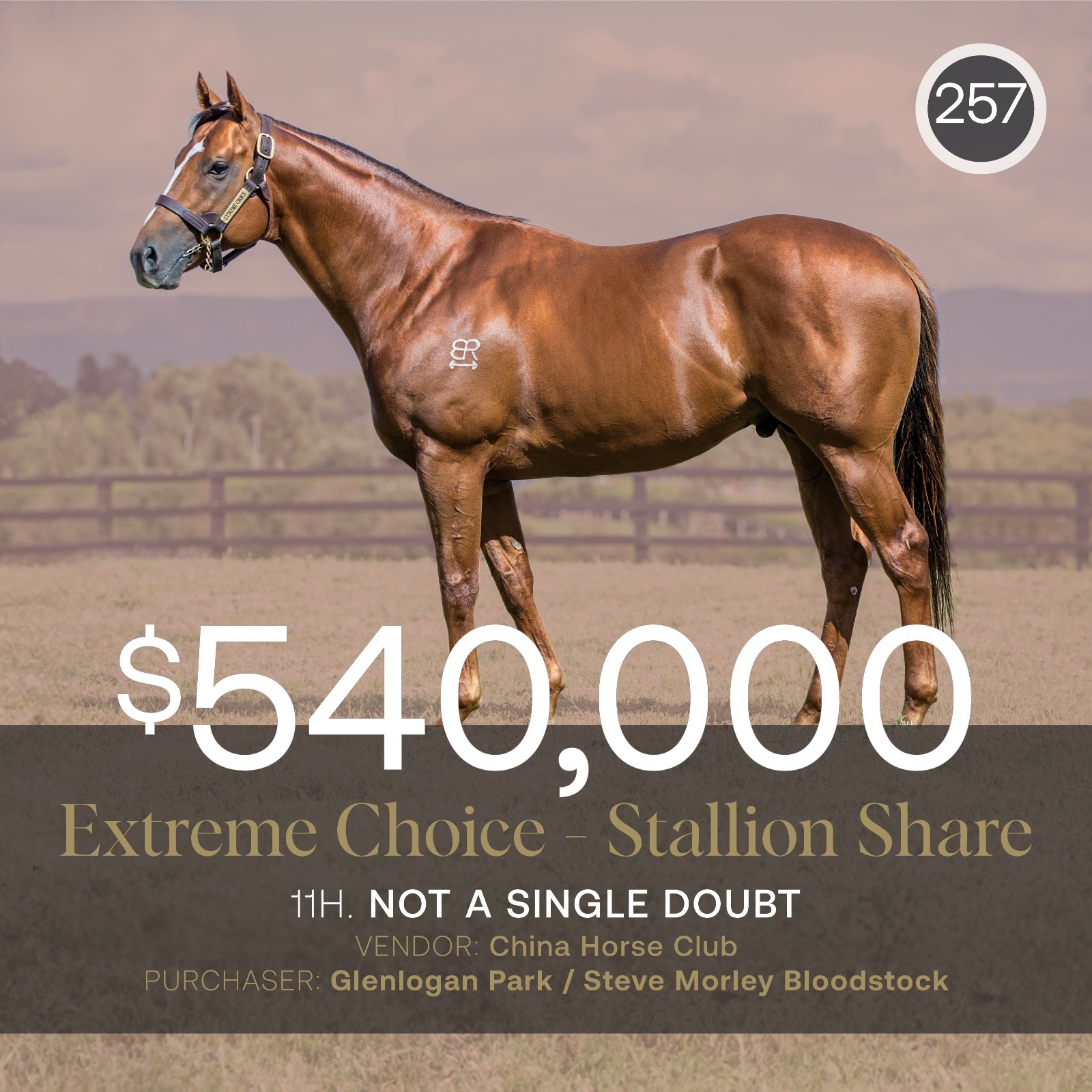 Extreme Choice share tops May (Early) Sale at $540,000