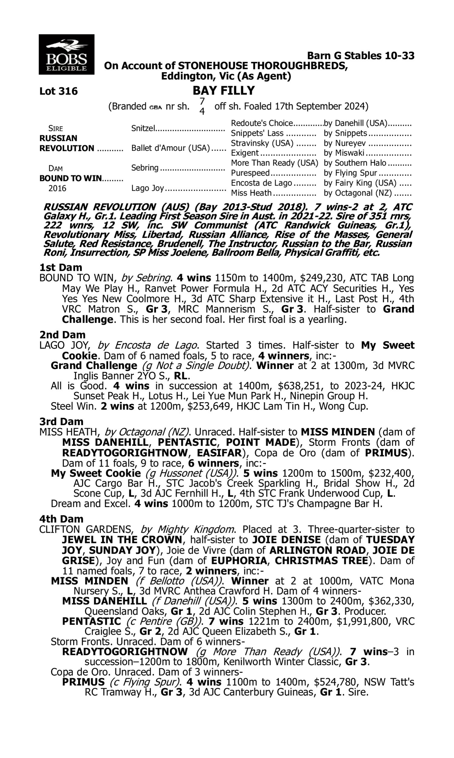 Pedigree for Lot 316 Russian Revolution - Bound to Win