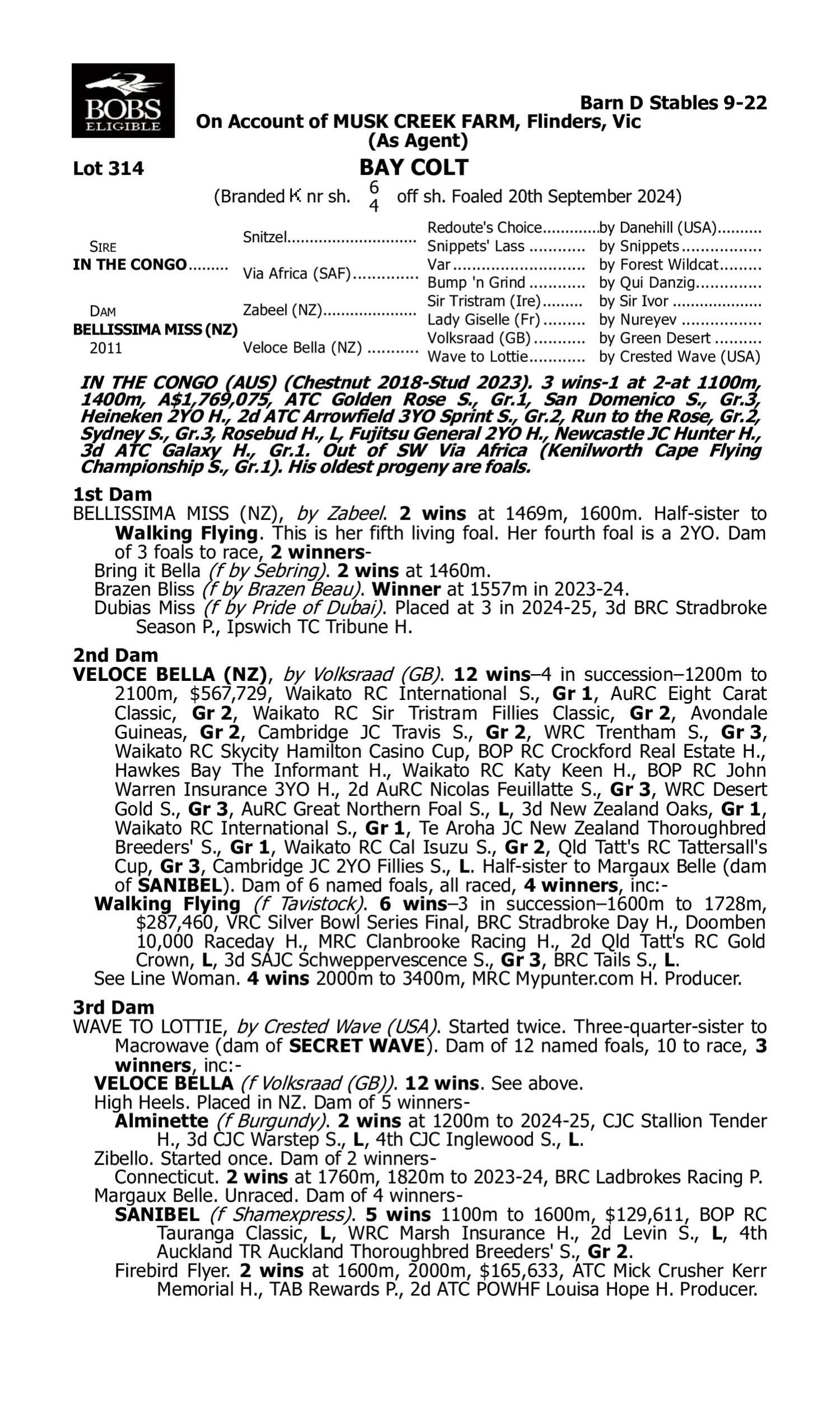Pedigree for Lot 314 In the Congo - Bellissima Miss (NZ)