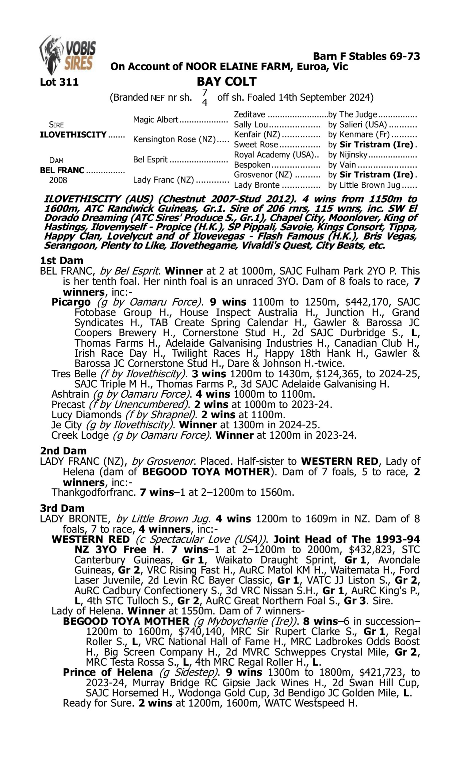 Pedigree for Lot 311 Ilovethiscity - Bel Franc
