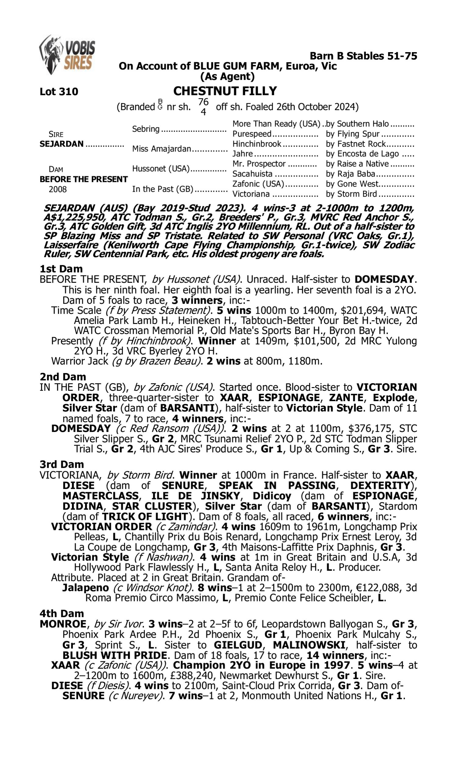 Pedigree for Lot 310 Sejardan - Before the Present