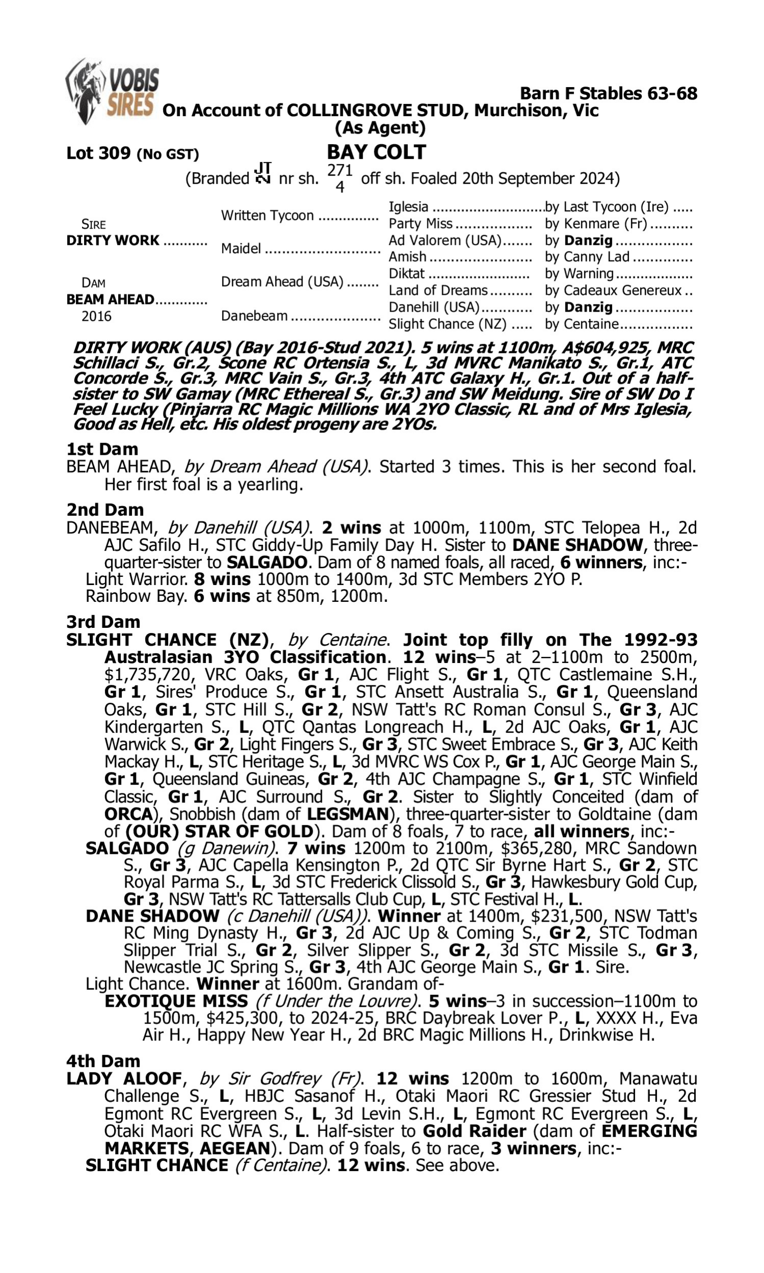 Pedigree for Lot 309 Dirty Work - Beam Ahead