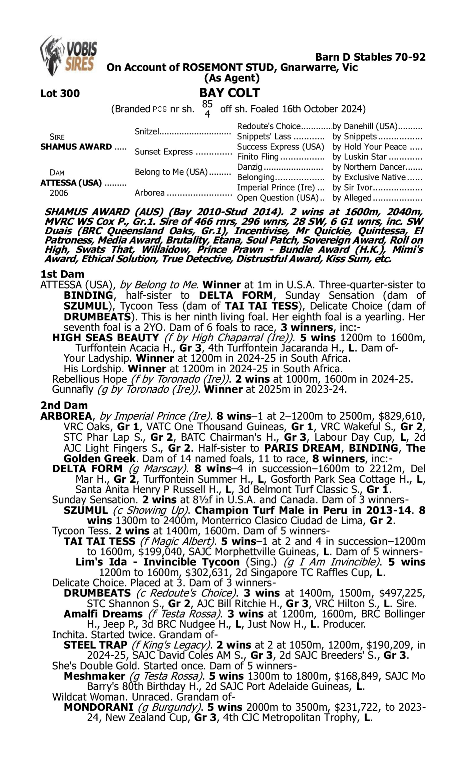 Pedigree for Lot 300 Shamus Award - Attessa (USA)