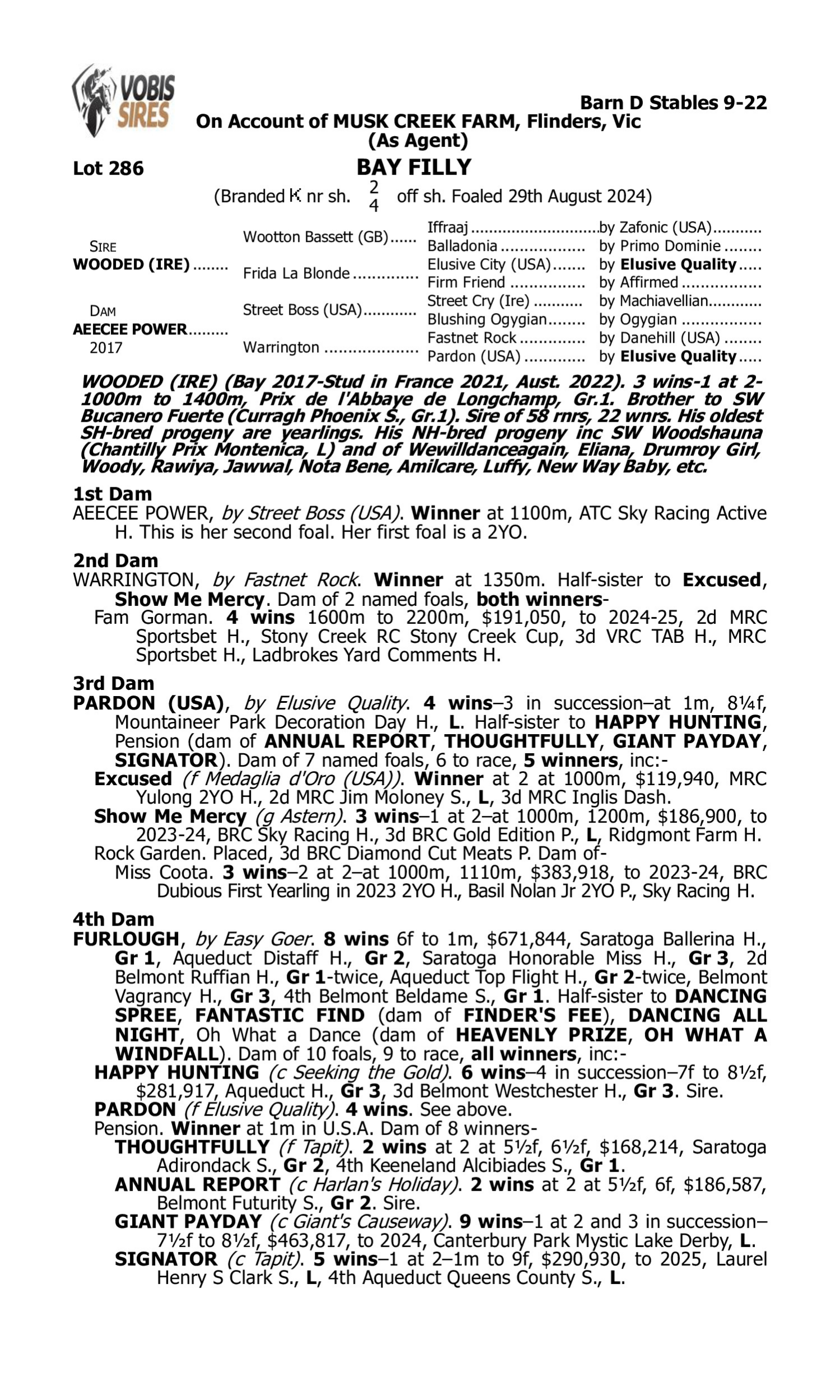 Pedigree for Lot 286 Wooded (IRE) - Aeecee Power