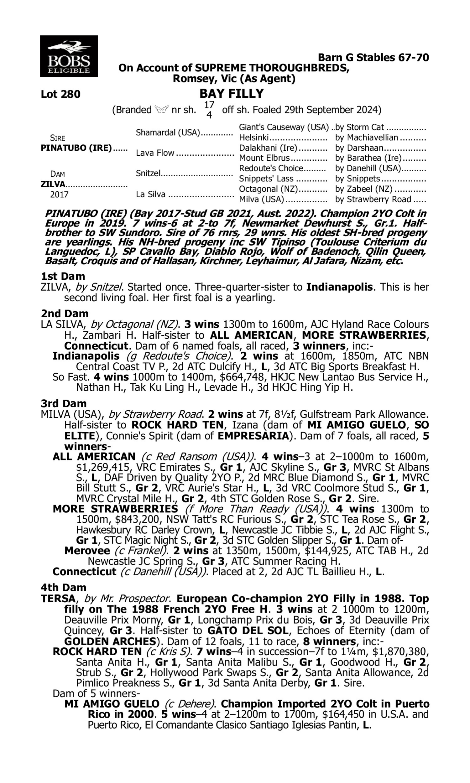 Pedigree for Lot 280 Pinatubo (IRE) - Zilva