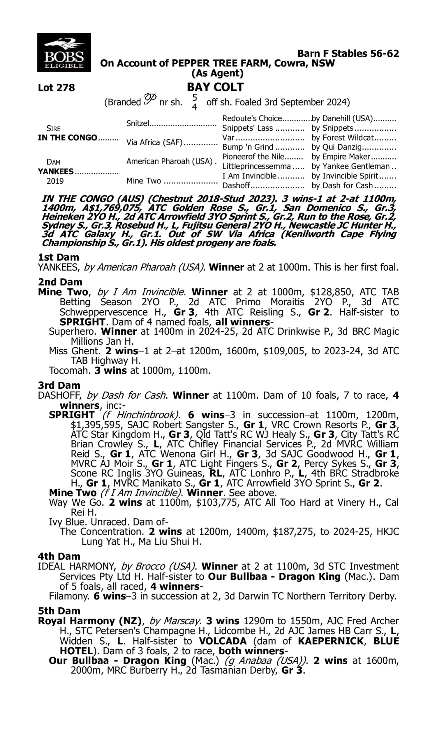 Pedigree for Lot 278 In the Congo - Yankees