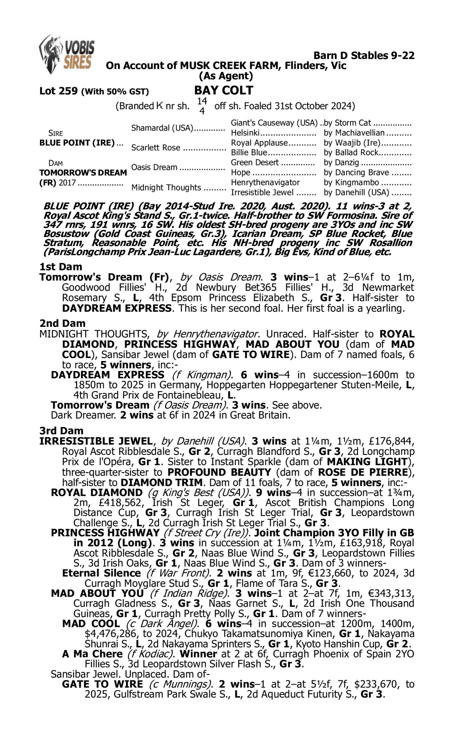Pedigree for Lot 259 Blue Point (IRE) - Tomorrow's Dream (FR)