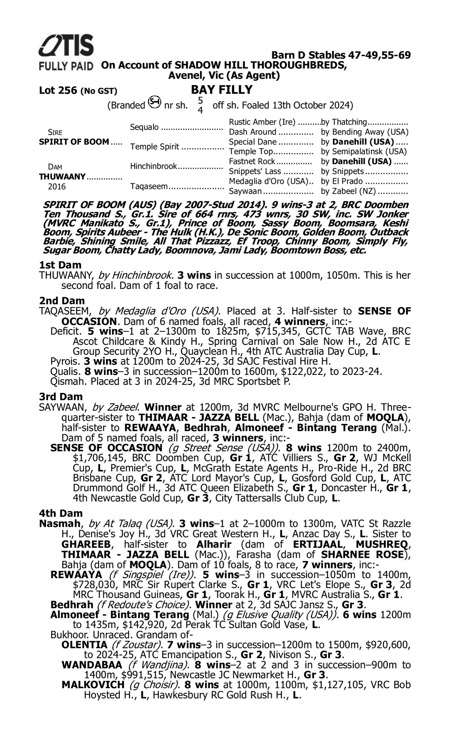 Pedigree for Lot 256 Spirit of Boom - Thuwaany