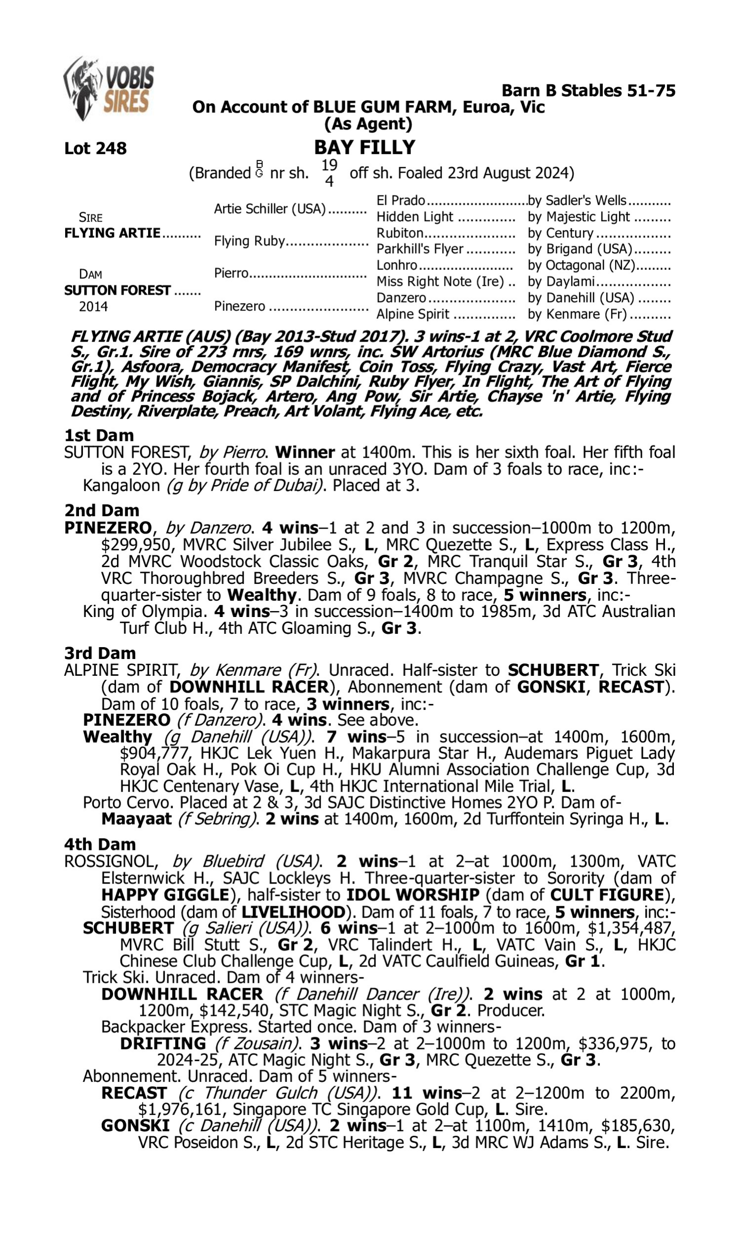 Pedigree for Lot 248 Flying Artie - Sutton Forest