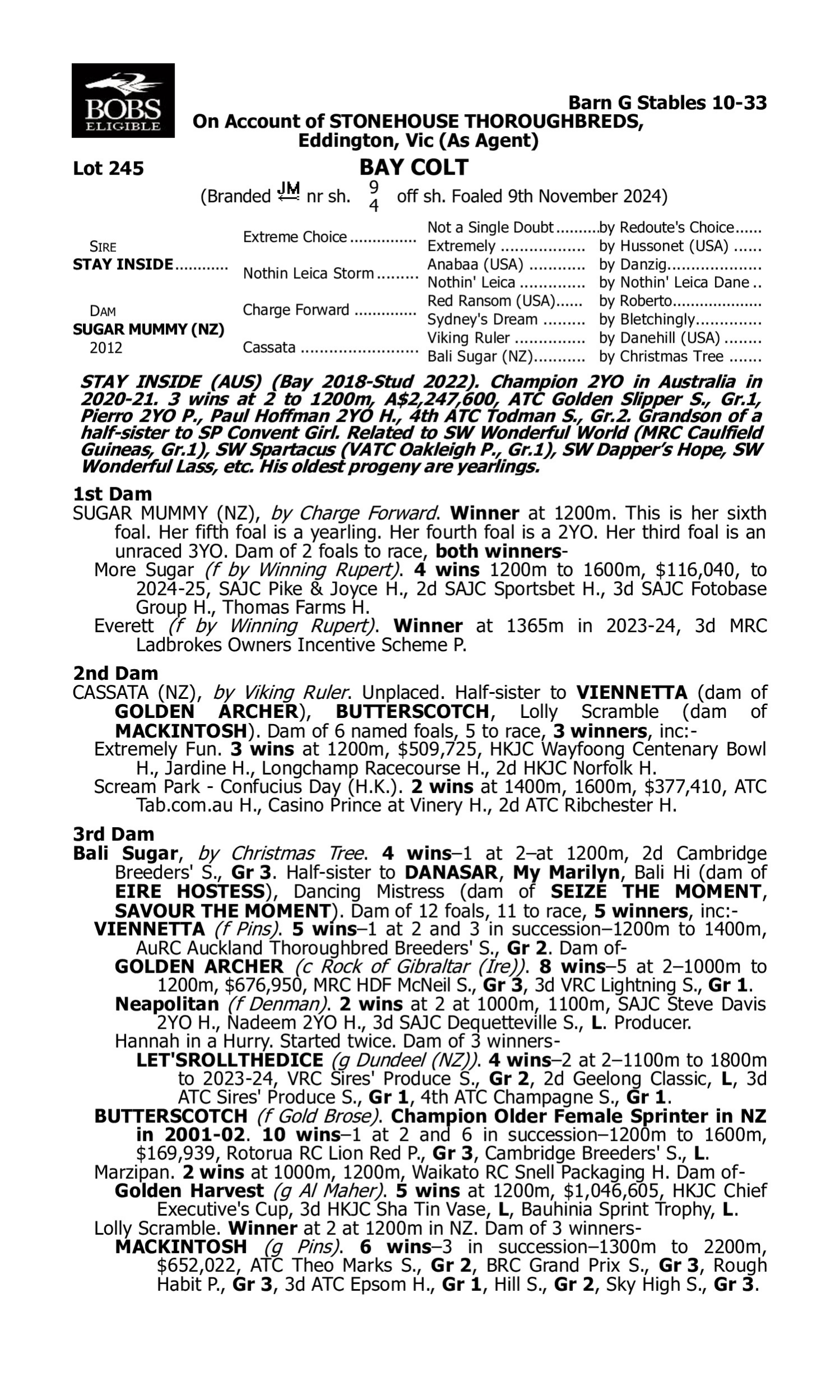 Pedigree for Lot 245 Stay Inside - Sugar Mummy (NZ)