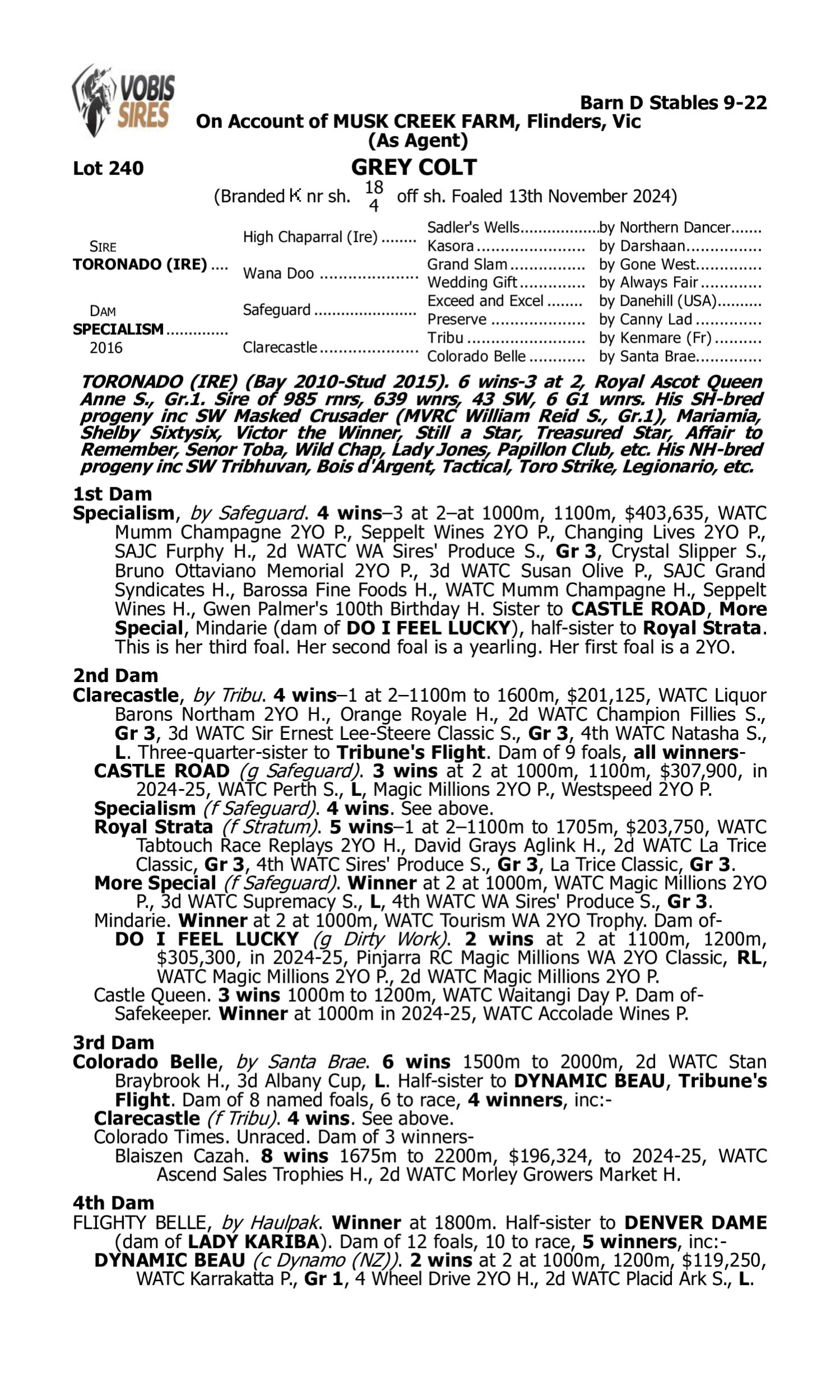 Pedigree for Lot 240 Toronado (IRE) - Specialism