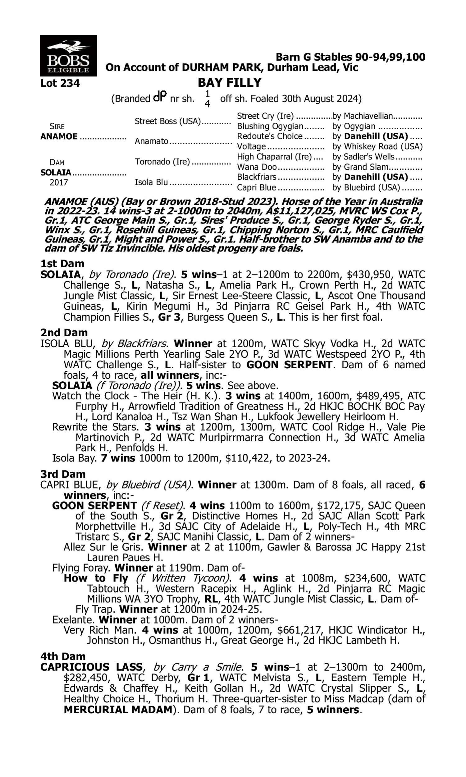 Pedigree for Lot 234 Anamoe - Solaia