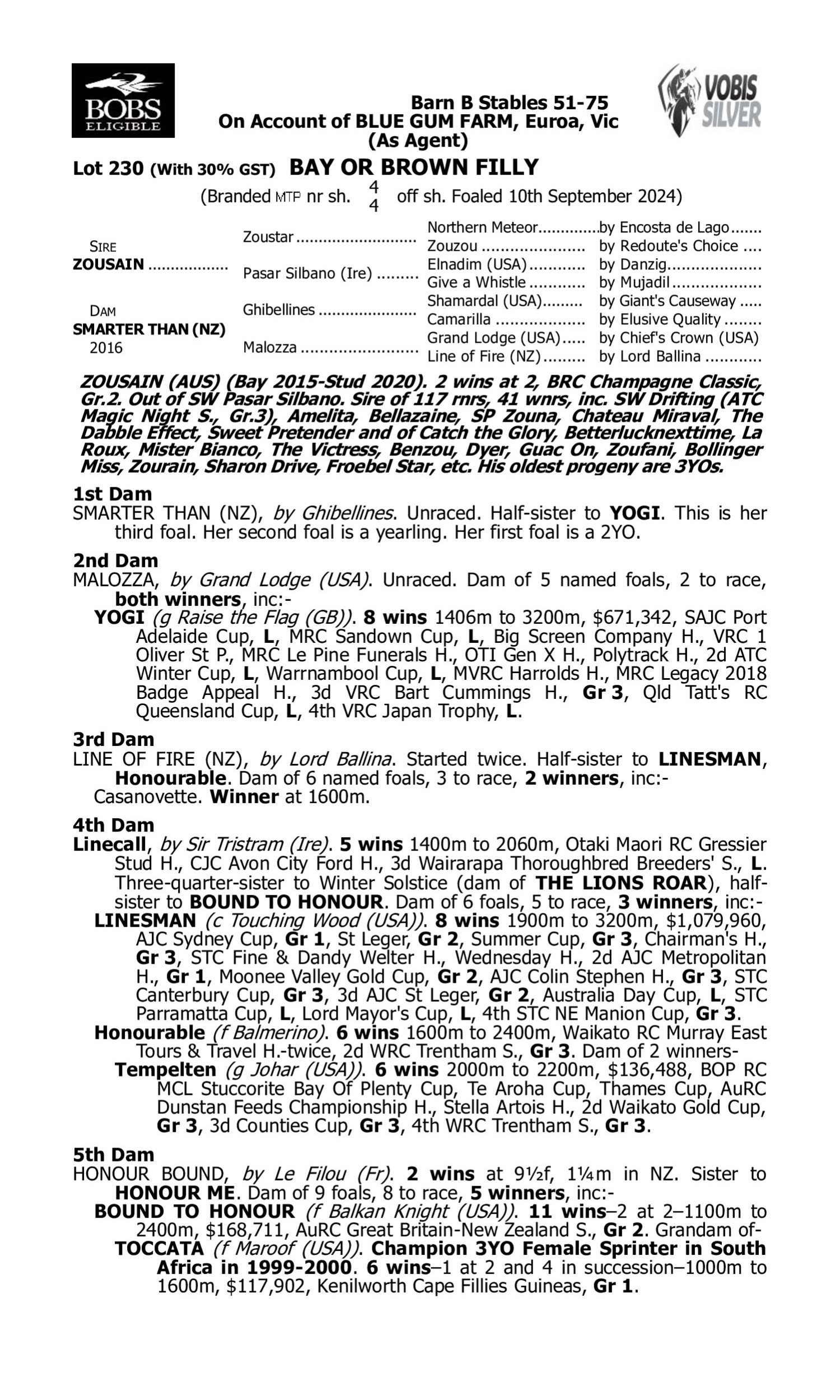 Pedigree for Lot 230 Zousain - Smarter Than (NZ)