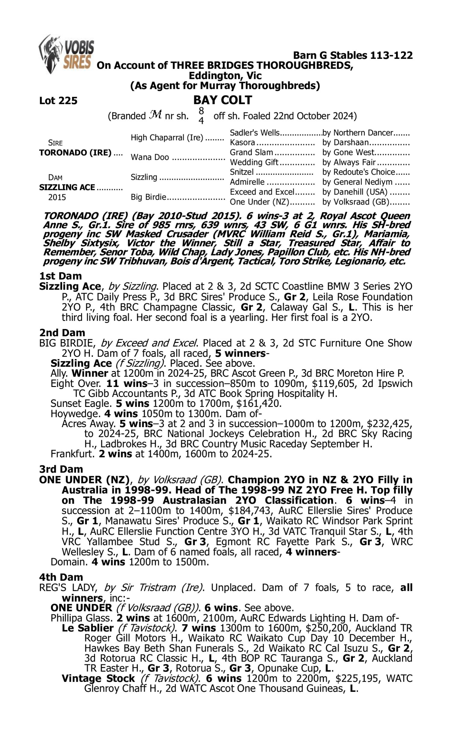 Pedigree for Lot 225 Toronado (IRE) - Sizzling Ace