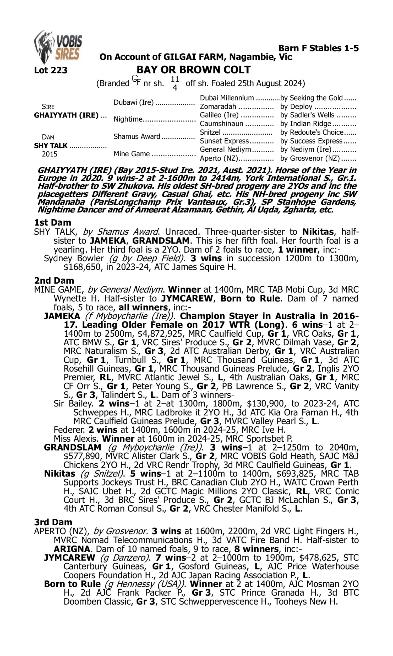 Pedigree for Lot 223 Ghaiyyath (IRE) - Shy Talk
