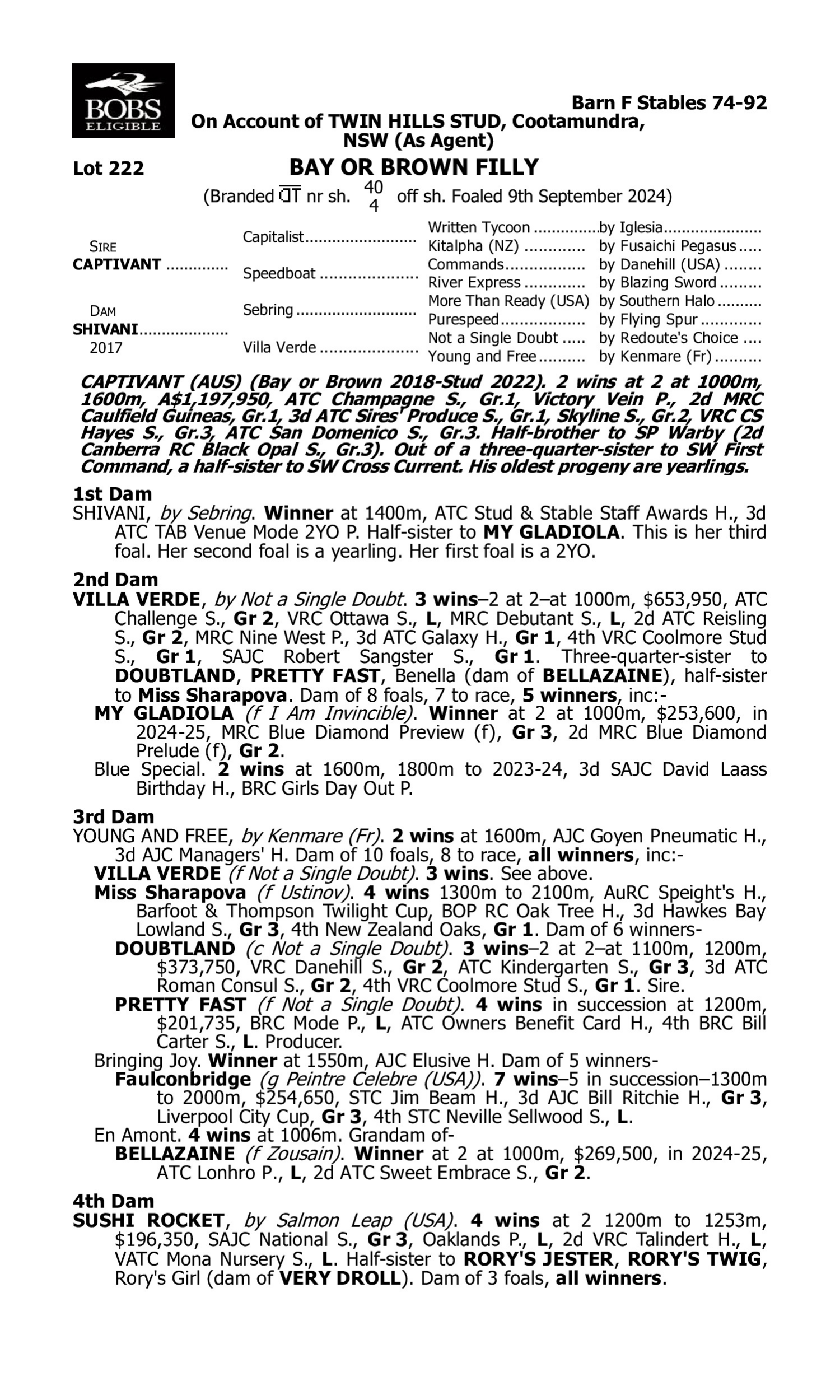 Pedigree for Lot 222 Captivant - Shivani