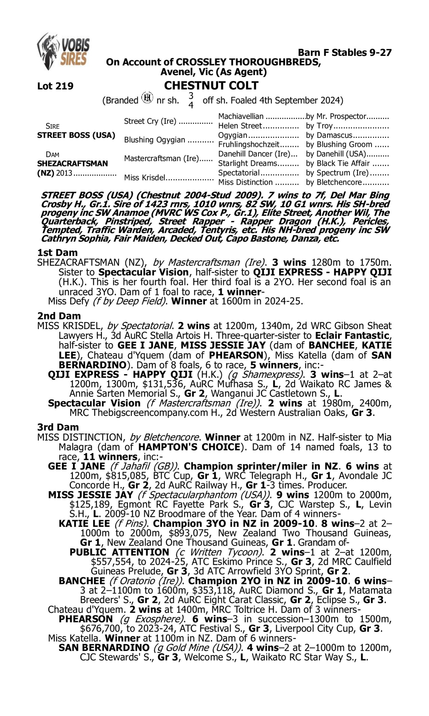 Pedigree for Lot 219 Street Boss (USA) - Shezacraftsman (NZ)