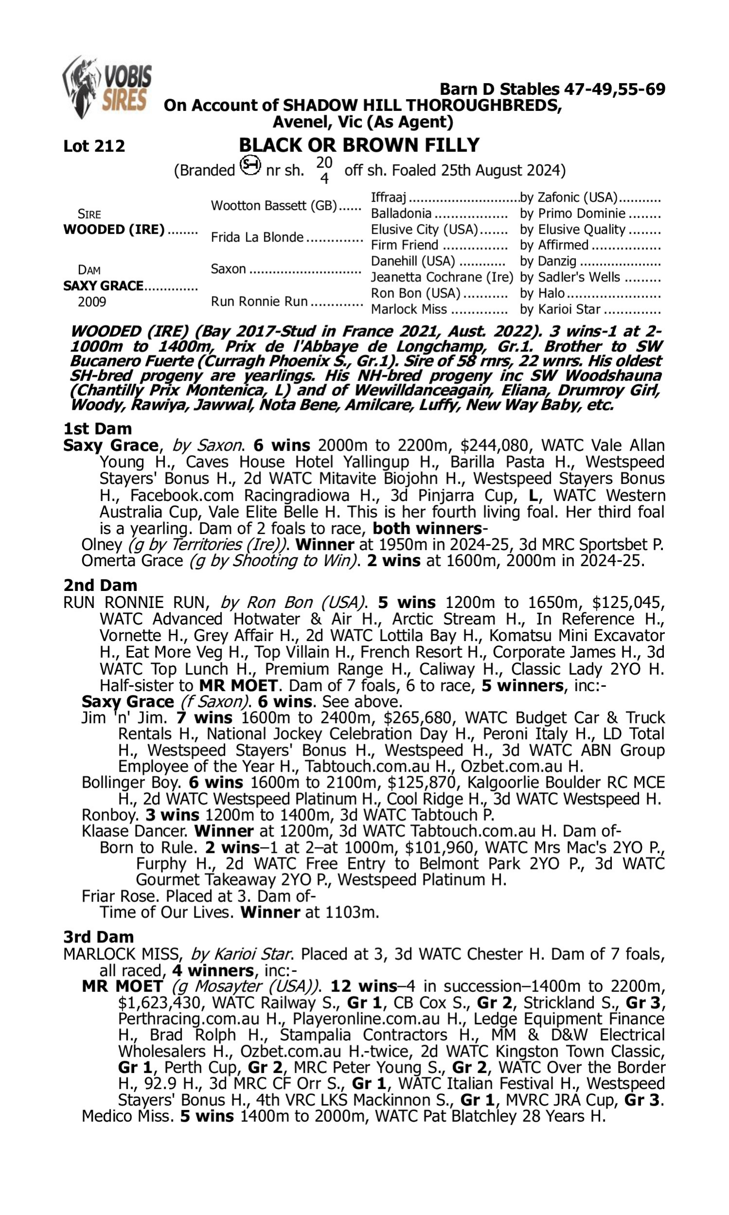 Pedigree for Lot 212 Wooded (IRE) - Saxy Grace