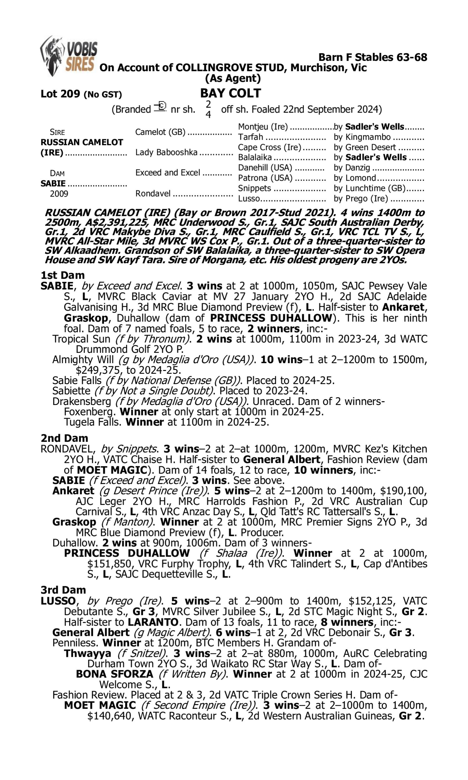 Pedigree for Lot 209 Russian Camelot (IRE) - Sabie