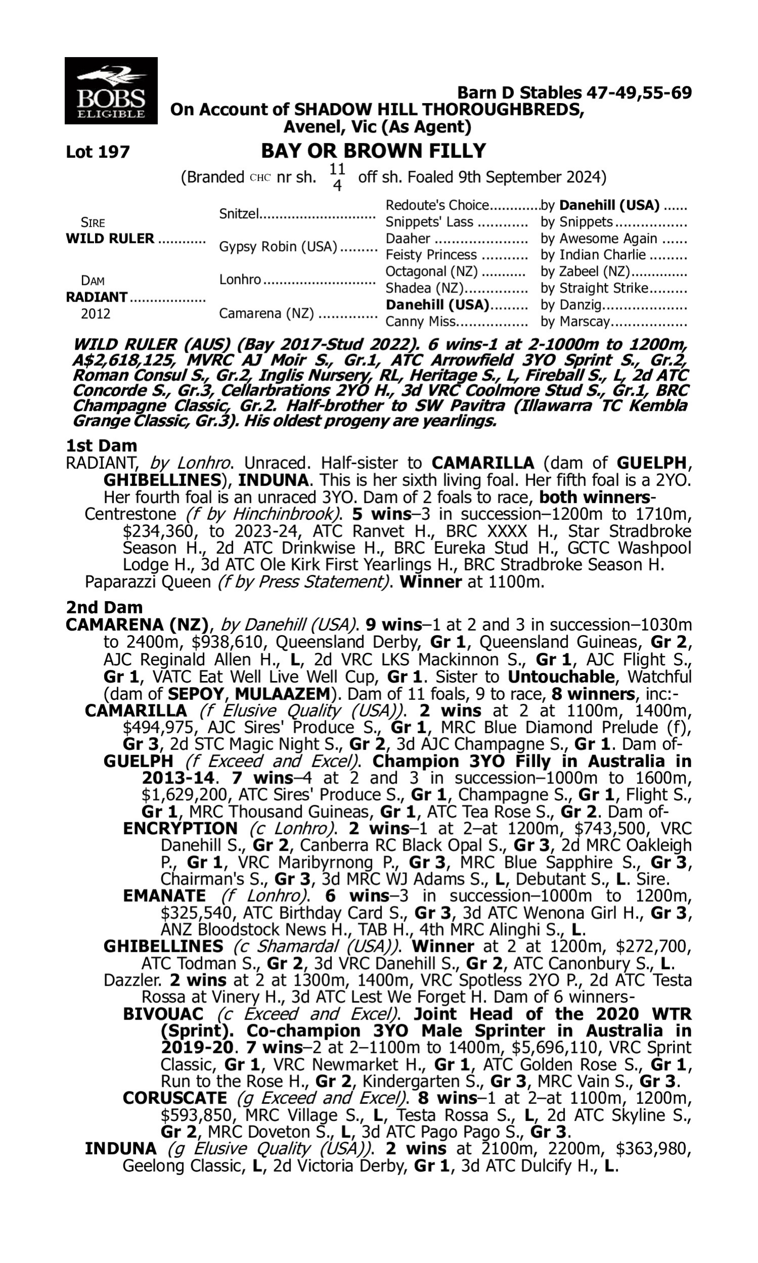 Pedigree for Lot 197 Wild Ruler - Radiant