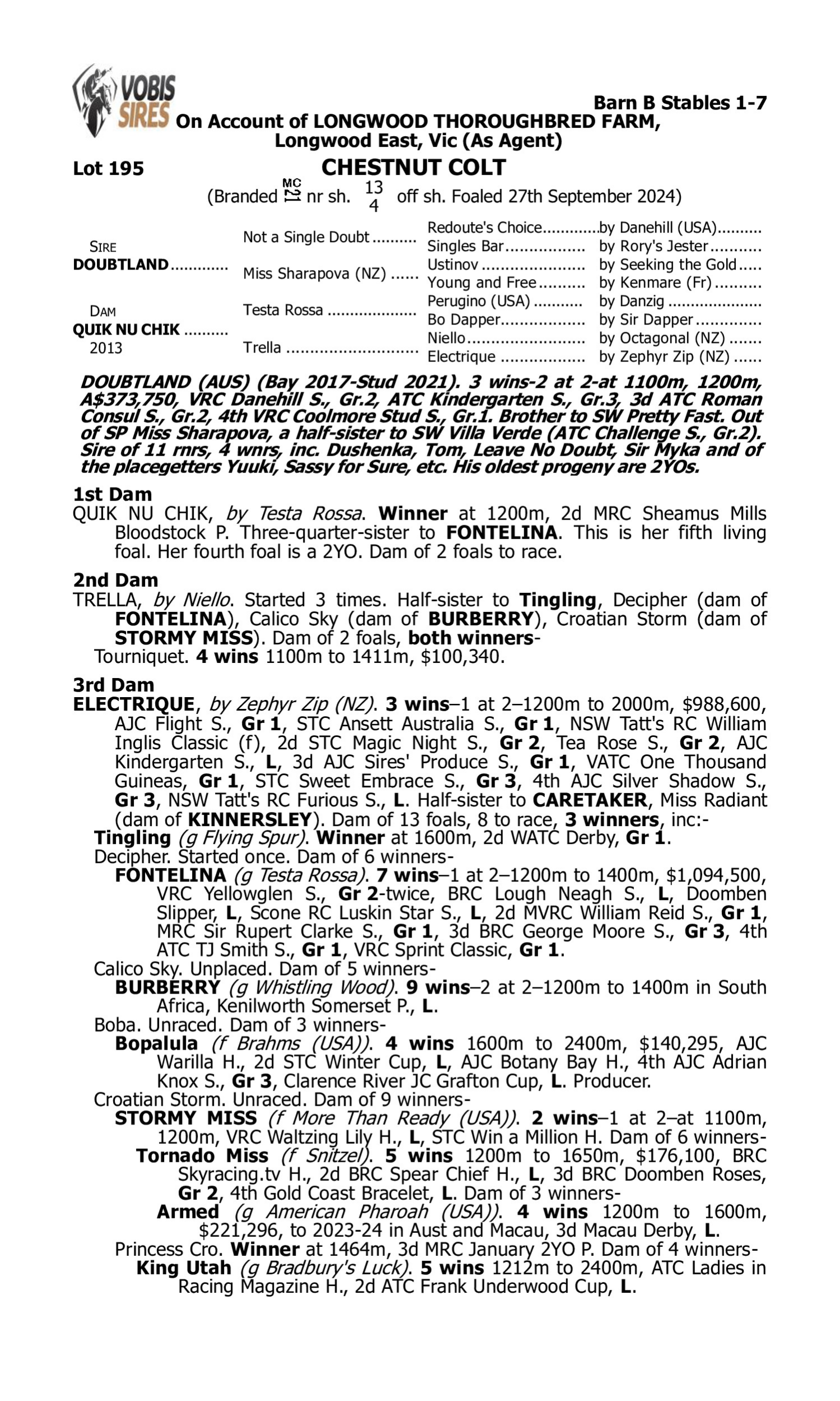 Pedigree for Lot 195 Doubtland - Quik Nu Chik