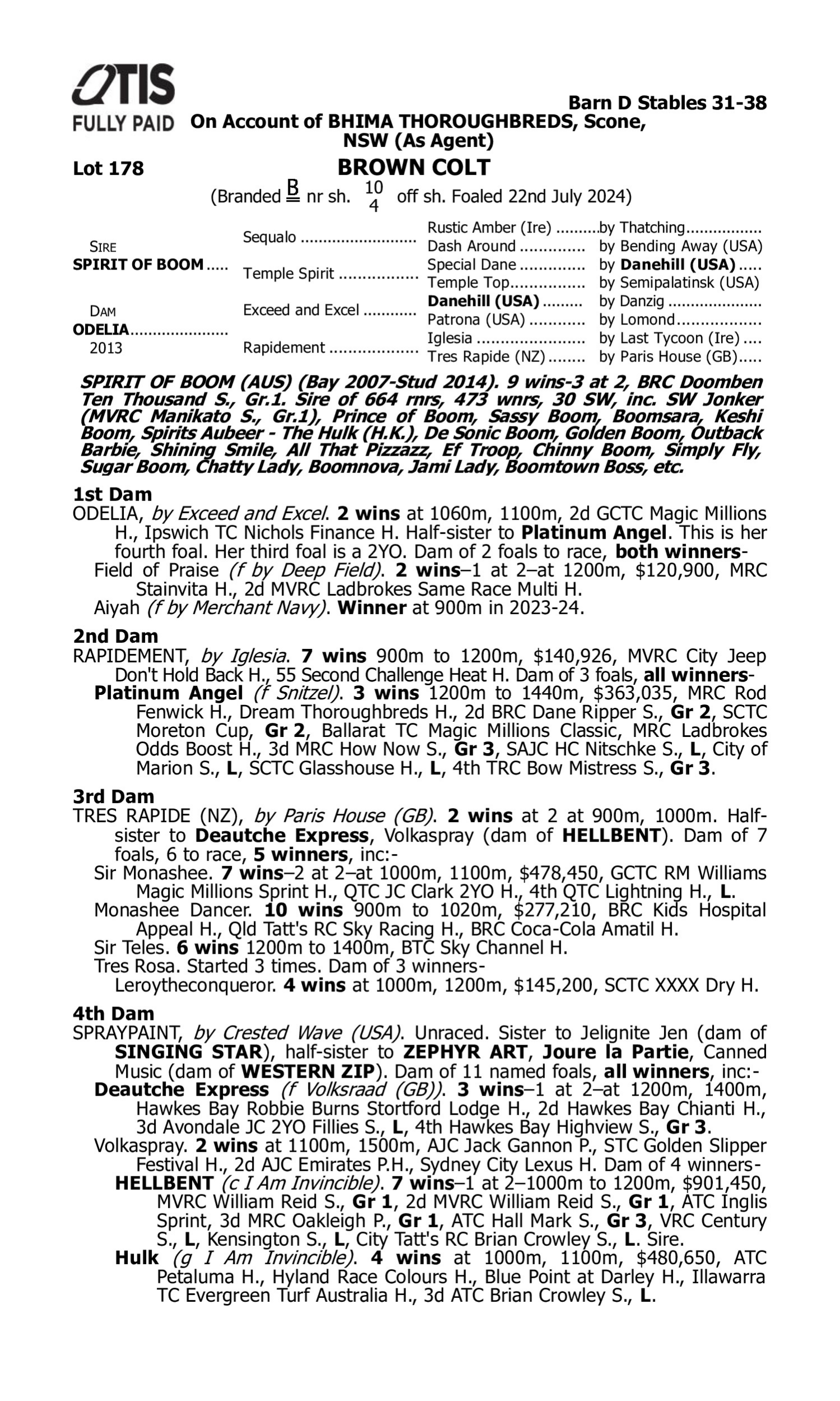Pedigree for Lot 178 Spirit of Boom - Odelia