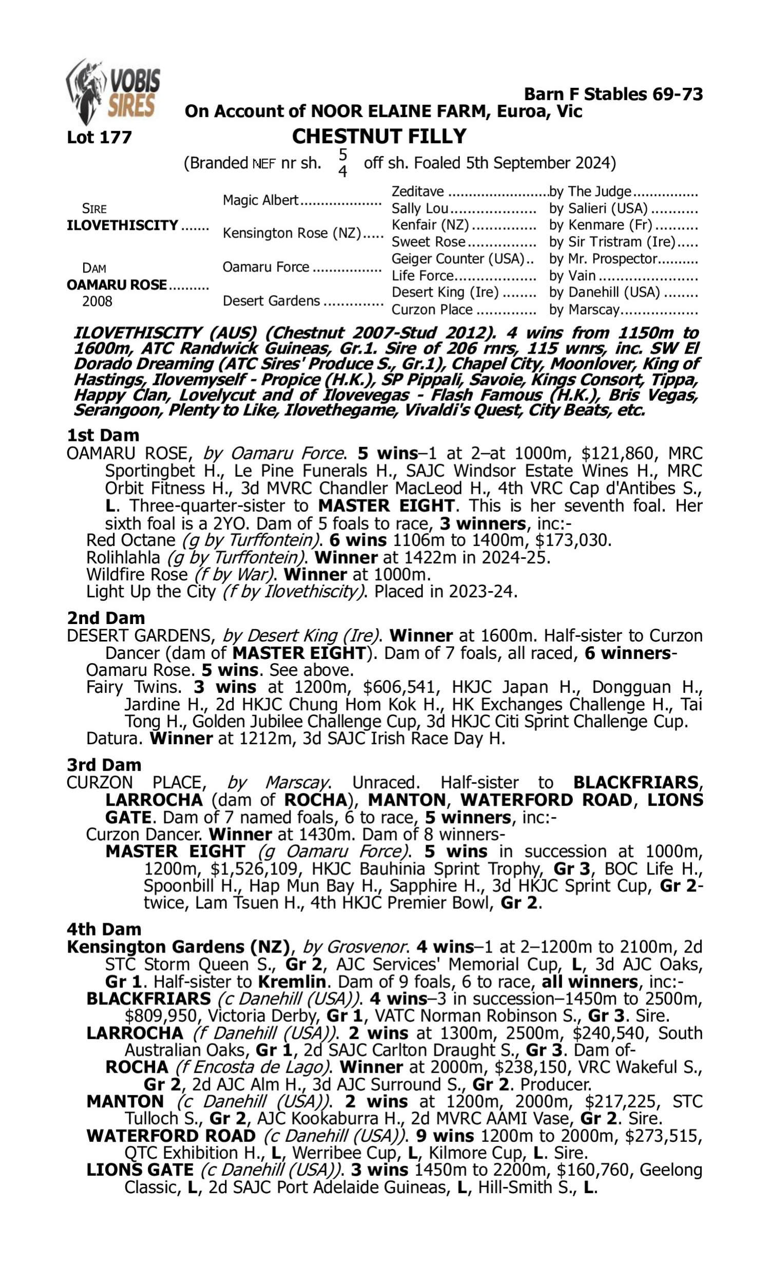 Pedigree for Lot 177 Ilovethiscity - Oamaru Rose