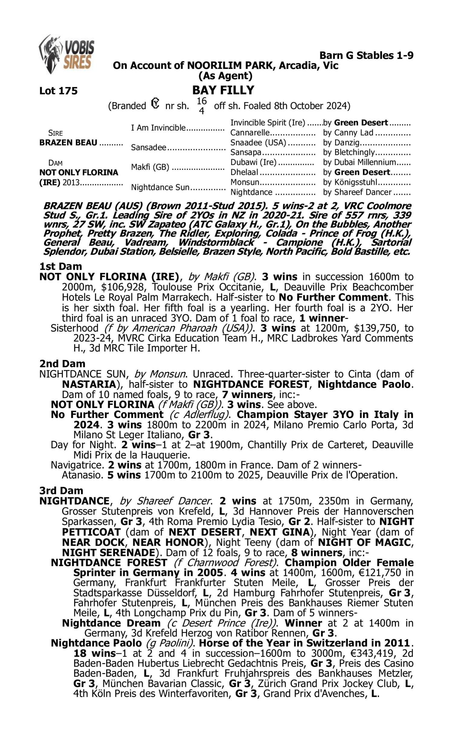 Pedigree for Lot 175 Brazen Beau - Not Only Florina (IRE)
