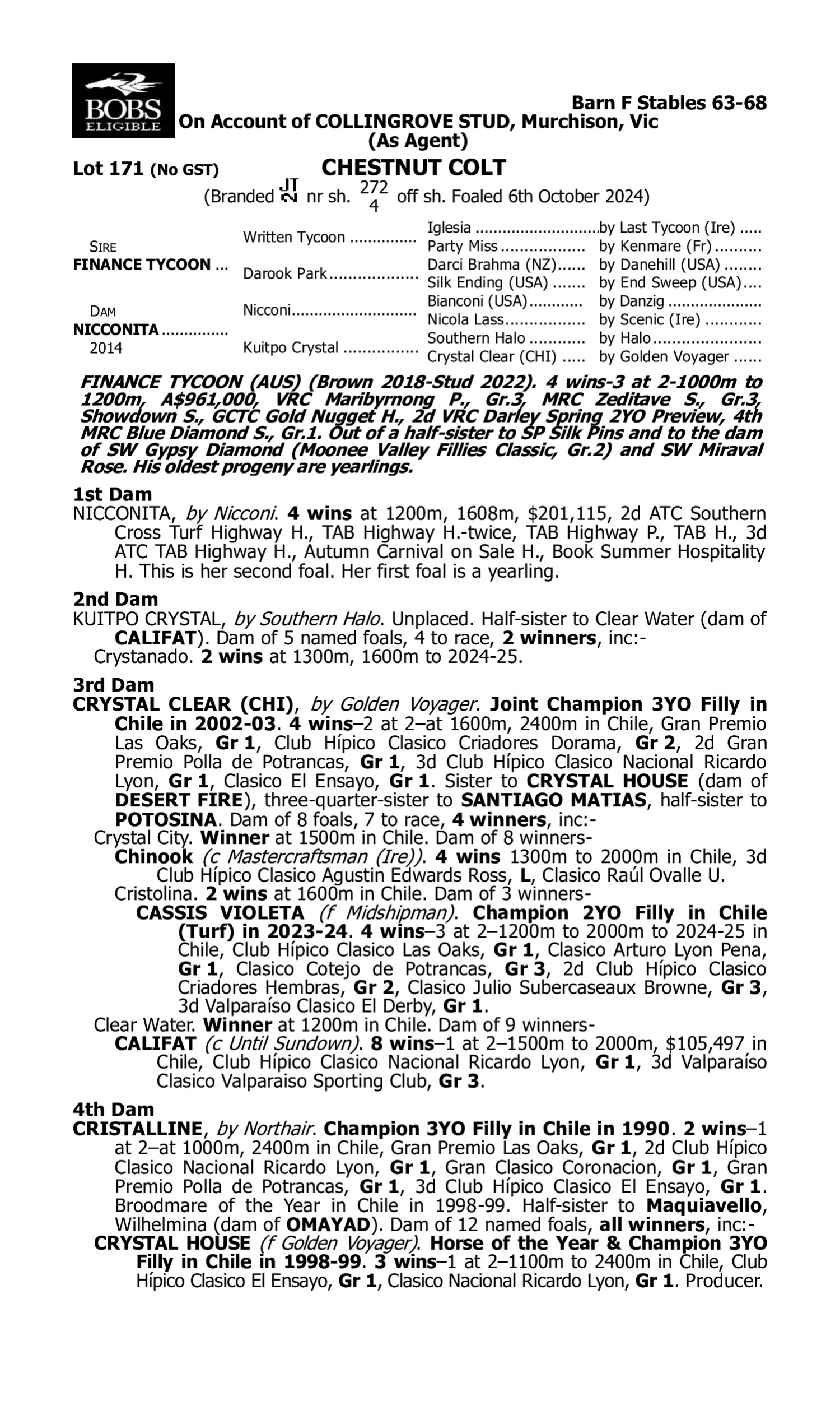 Pedigree for Lot 171 Finance Tycoon - Nicconita