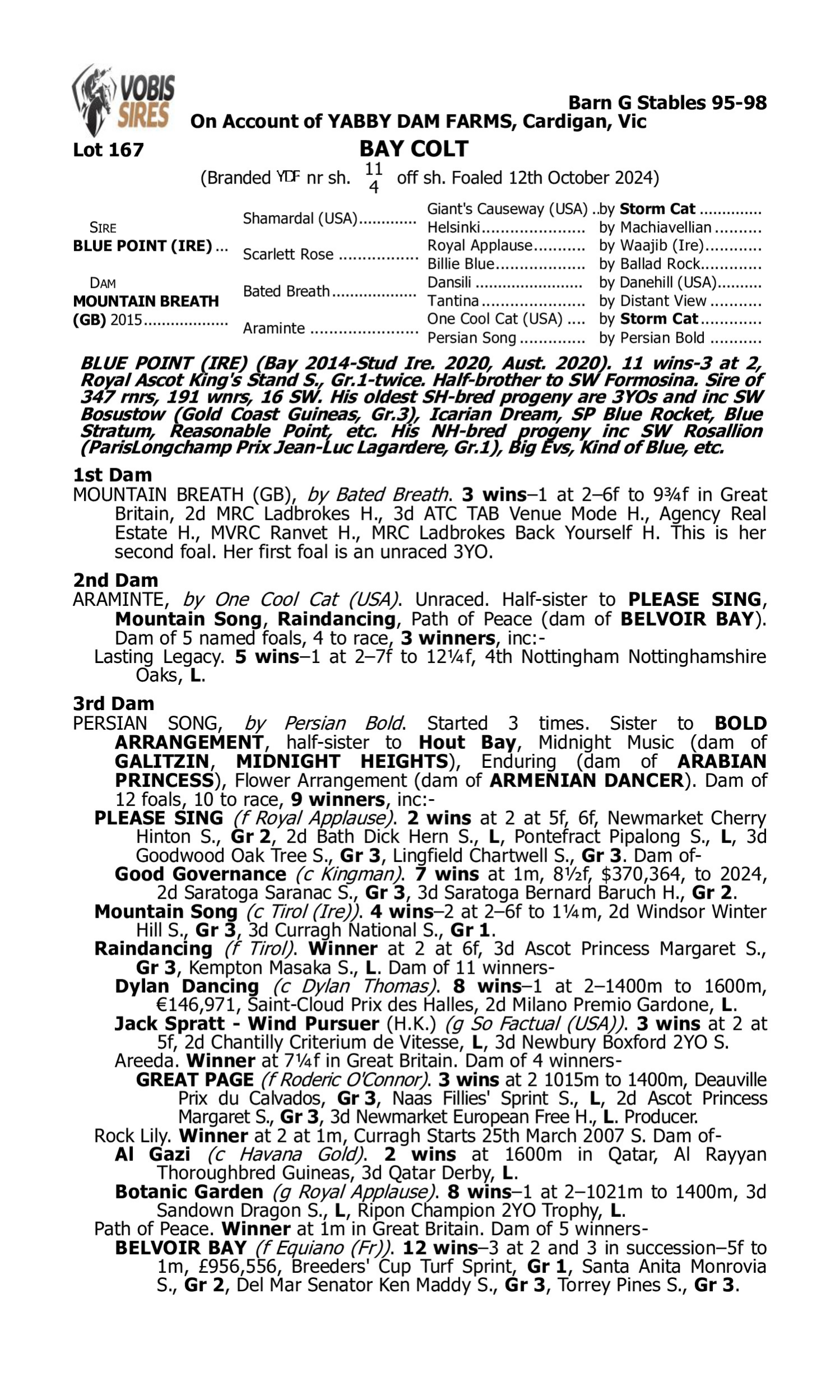 Pedigree for Lot 167 Blue Point (IRE) - Mountain Breath (GB)