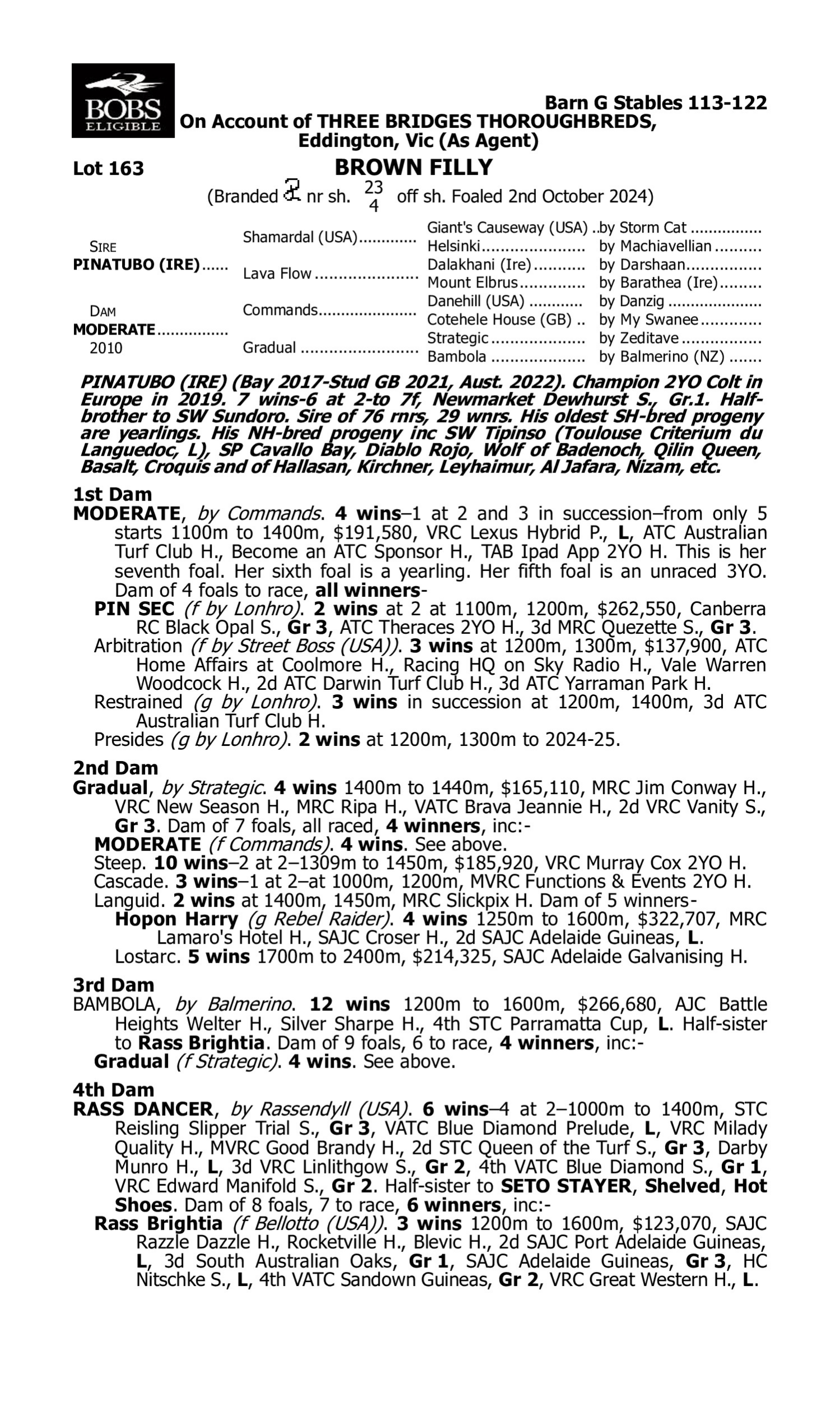 Pedigree for Lot 163 Pinatubo (IRE) - Moderate