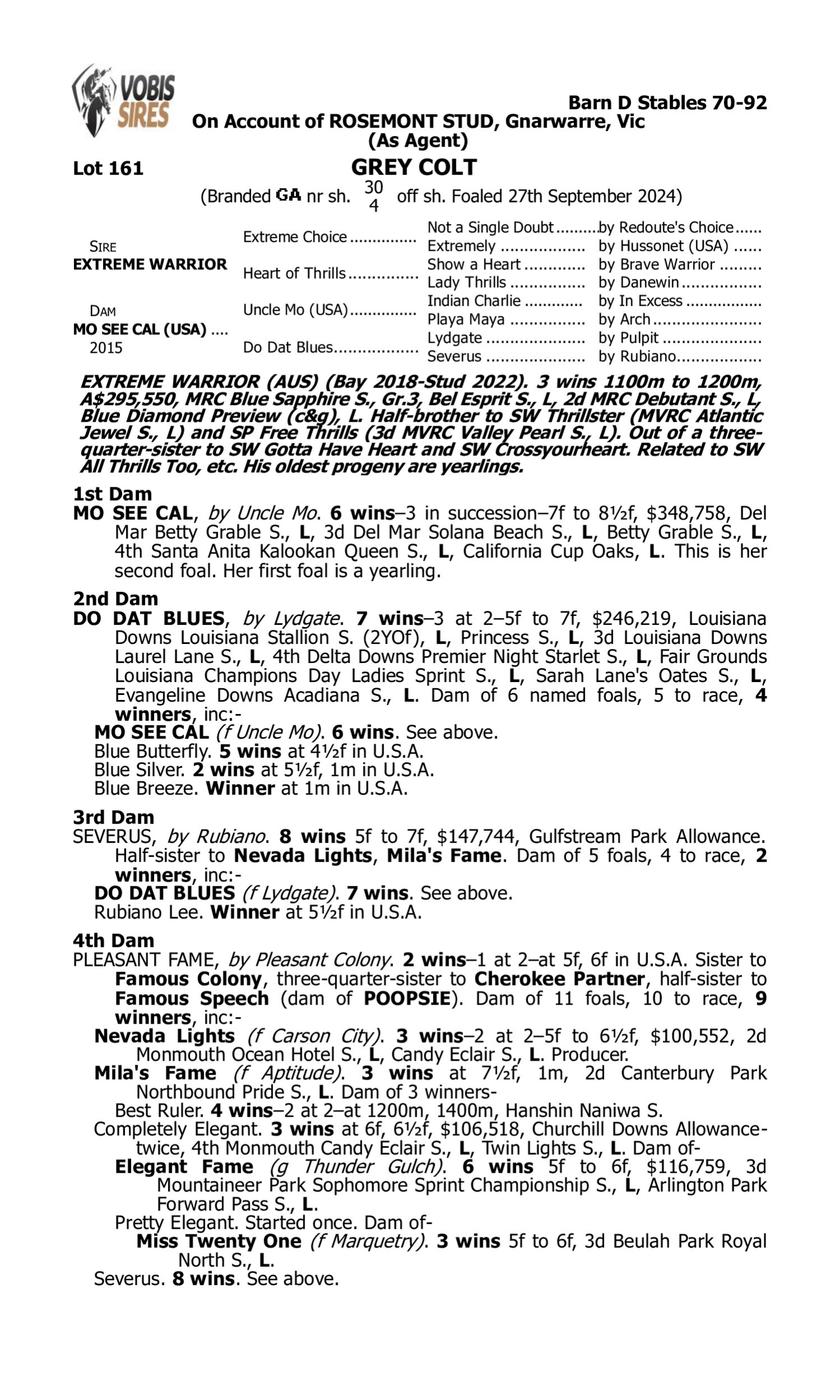 Pedigree for Lot 161 Extreme Warrior - Mo See Cal (USA)