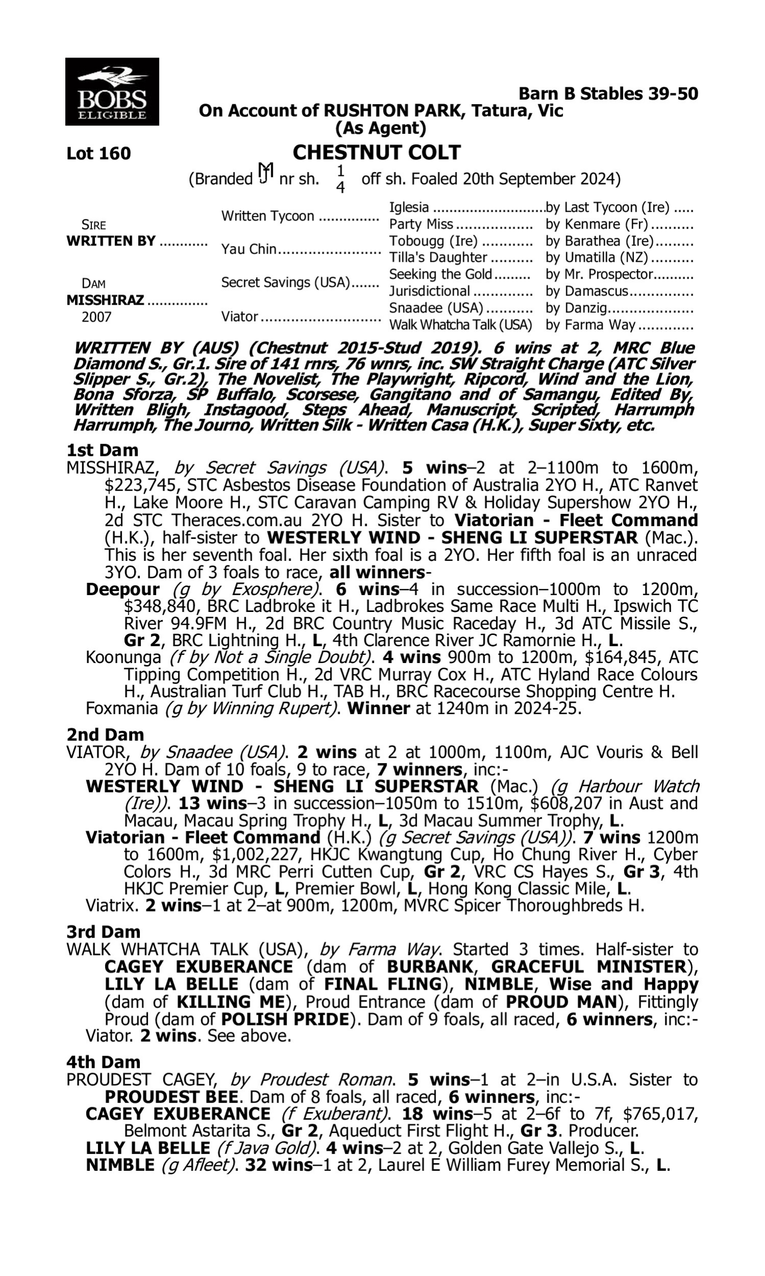 Pedigree for Lot 160 Written By - Misshiraz
