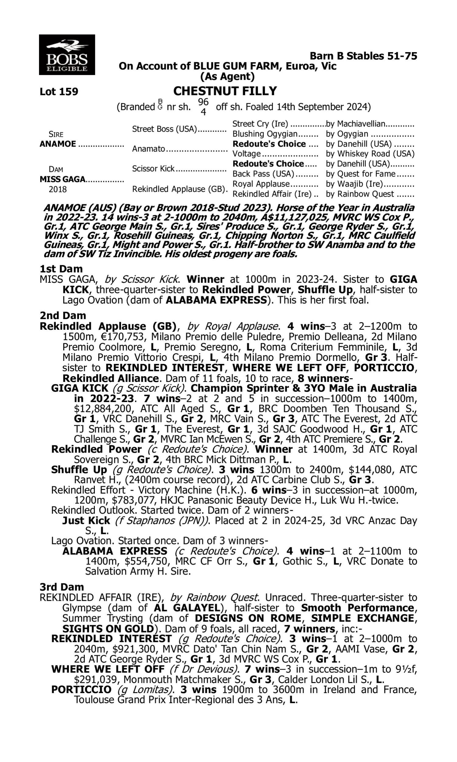 Pedigree for Lot 159 Anamoe - Miss Gaga