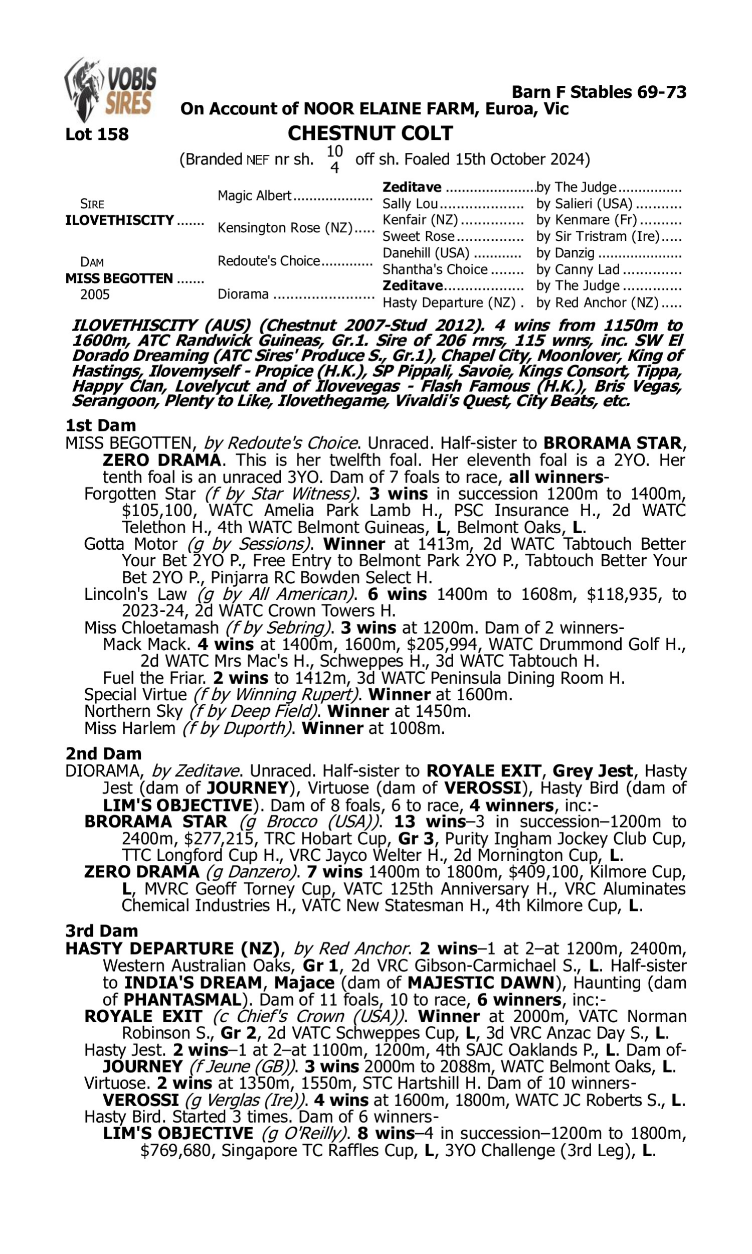 Pedigree for Lot 158 Ilovethiscity - Miss Begotten