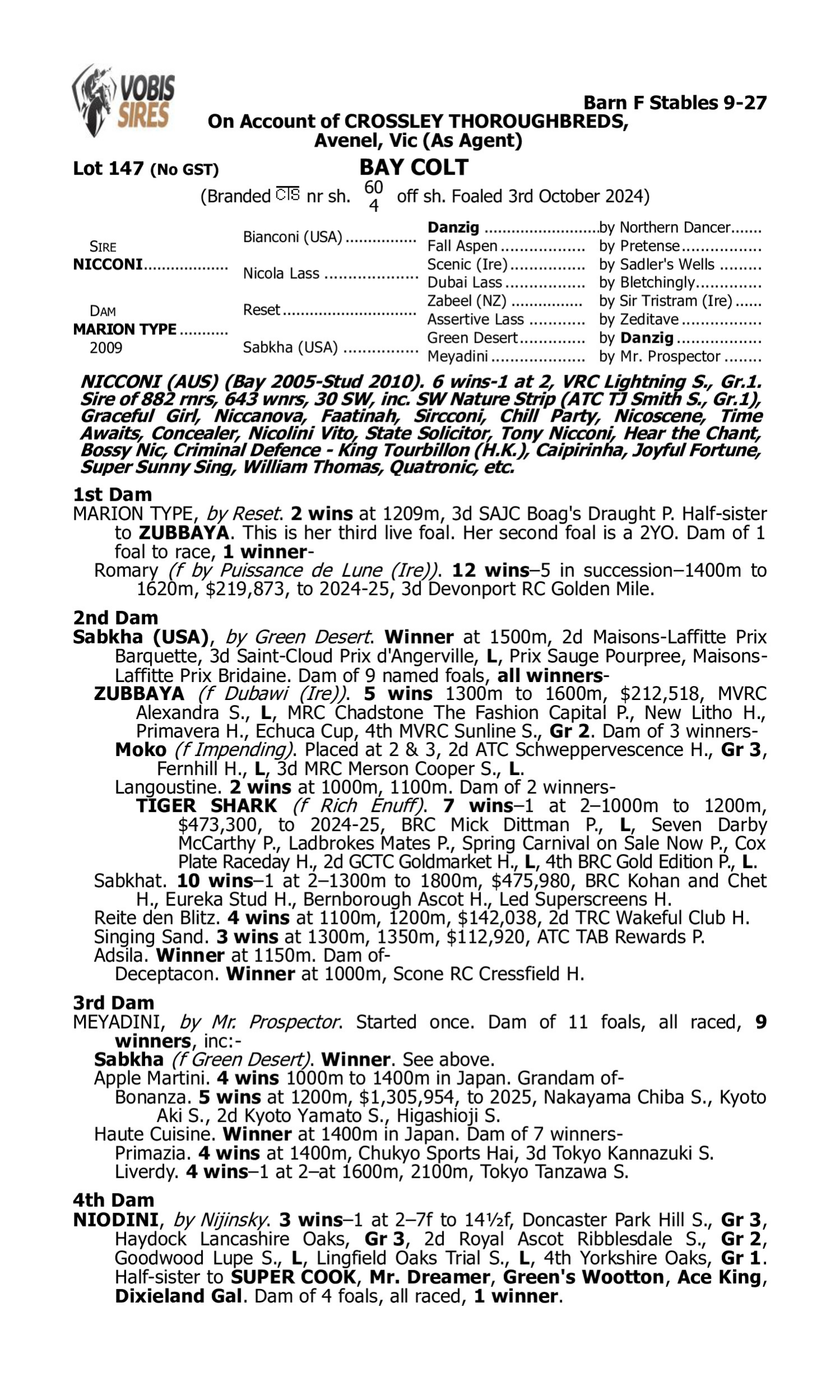 Pedigree for Lot 147 Nicconi - Marion Type