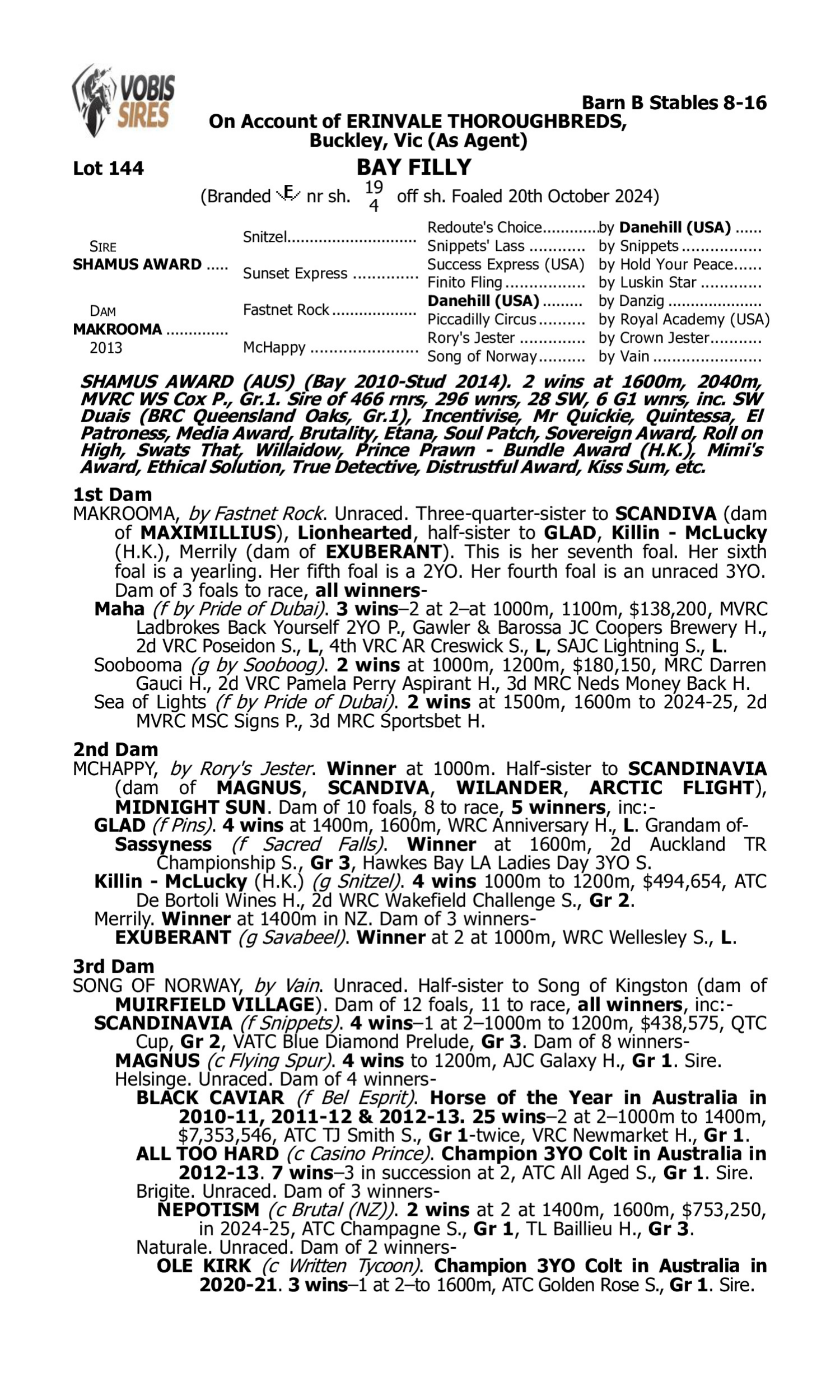 Pedigree for Lot 144 Shamus Award - Makrooma