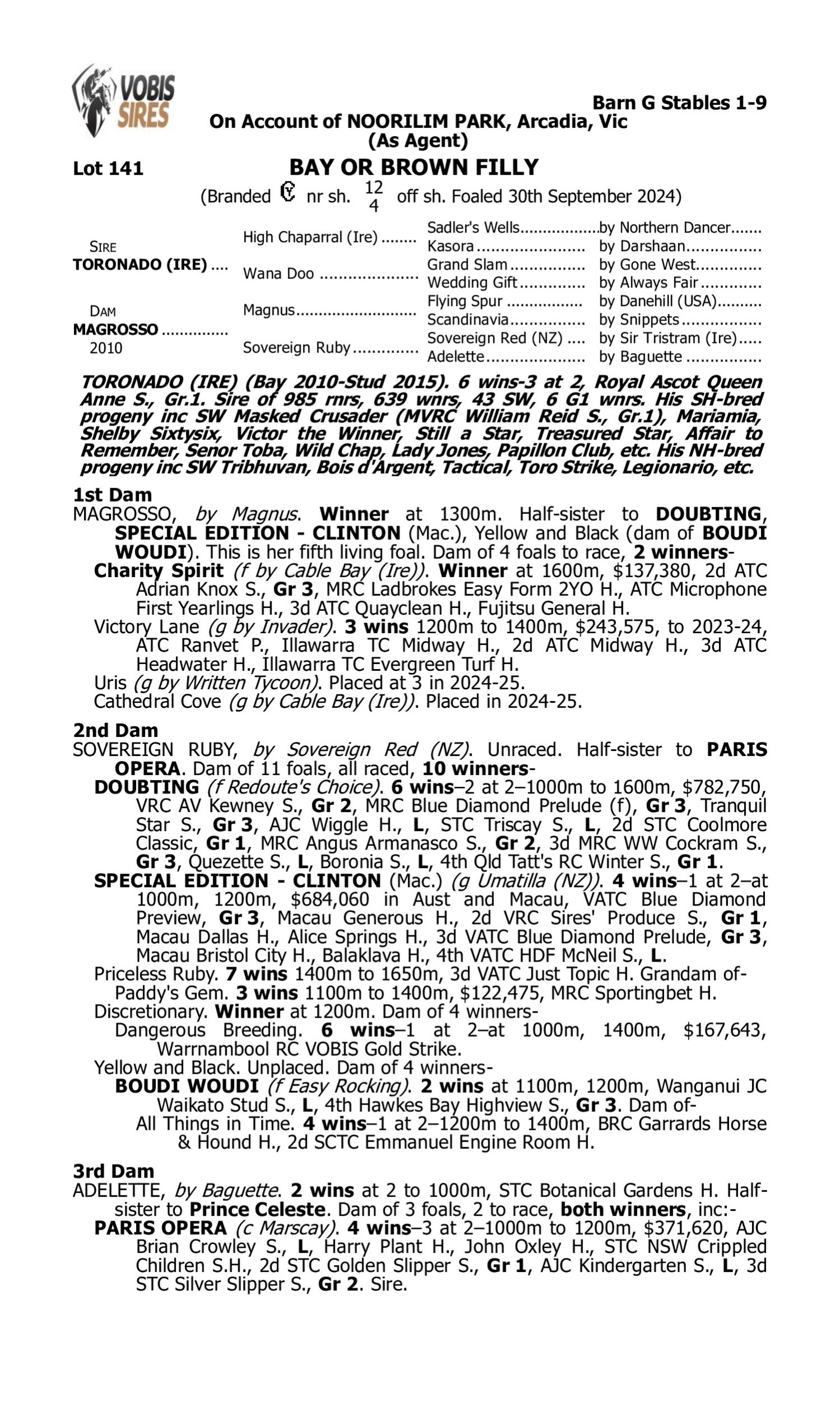 Pedigree for Lot 141 Toronado (IRE) - Magrosso