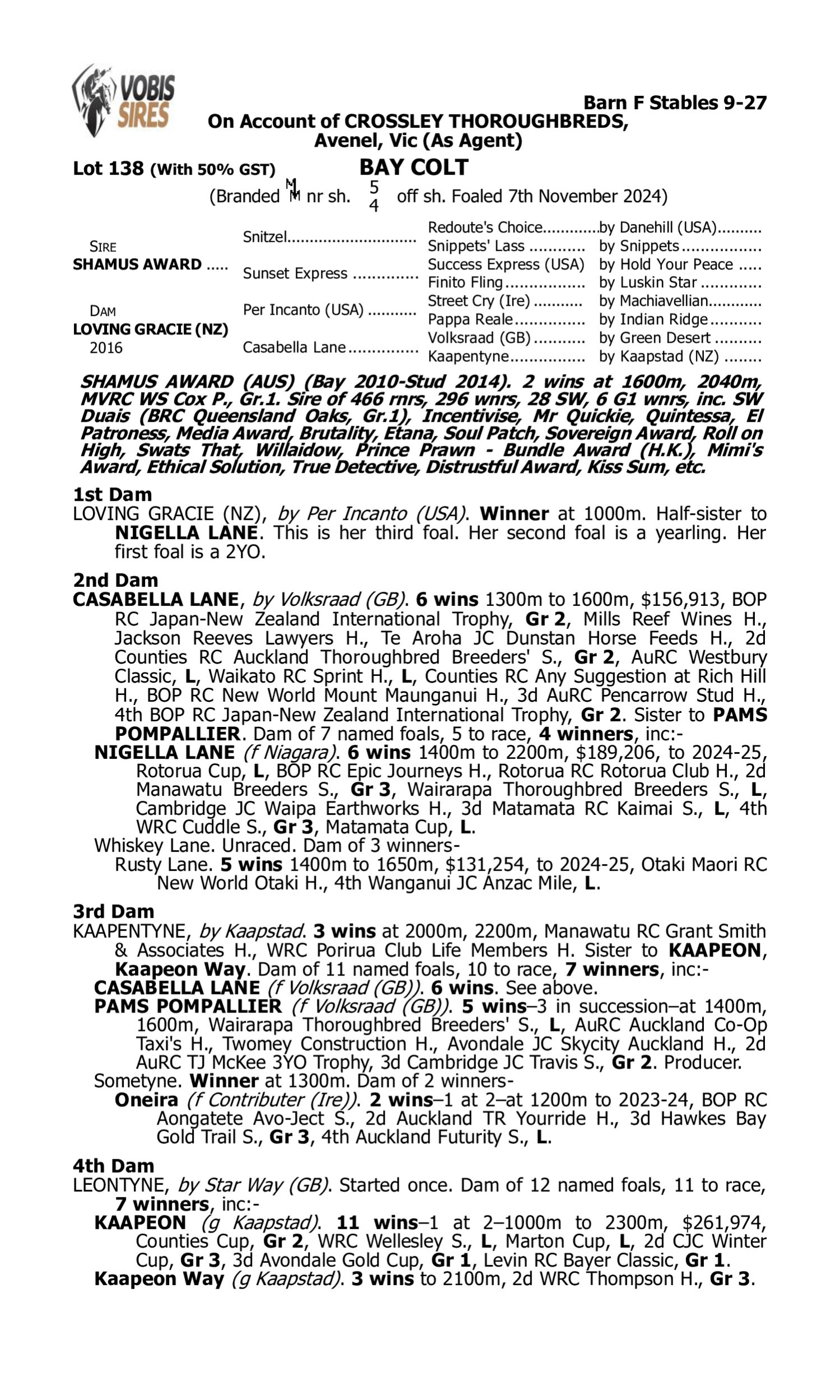 Pedigree for Lot 138 Shamus Award - Loving Gracie (NZ)