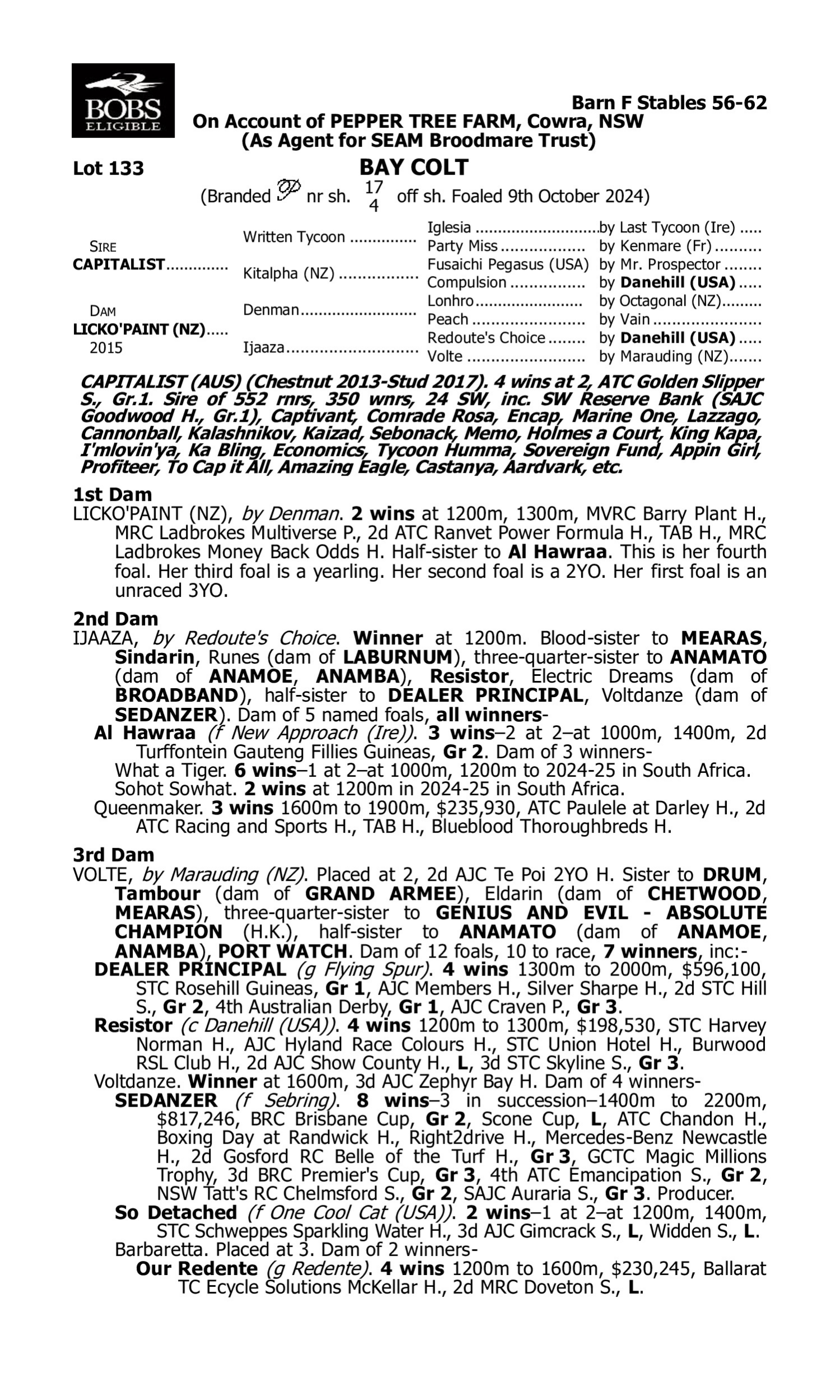 Pedigree for Lot 133 Capitalist - Licko'paint (NZ)
