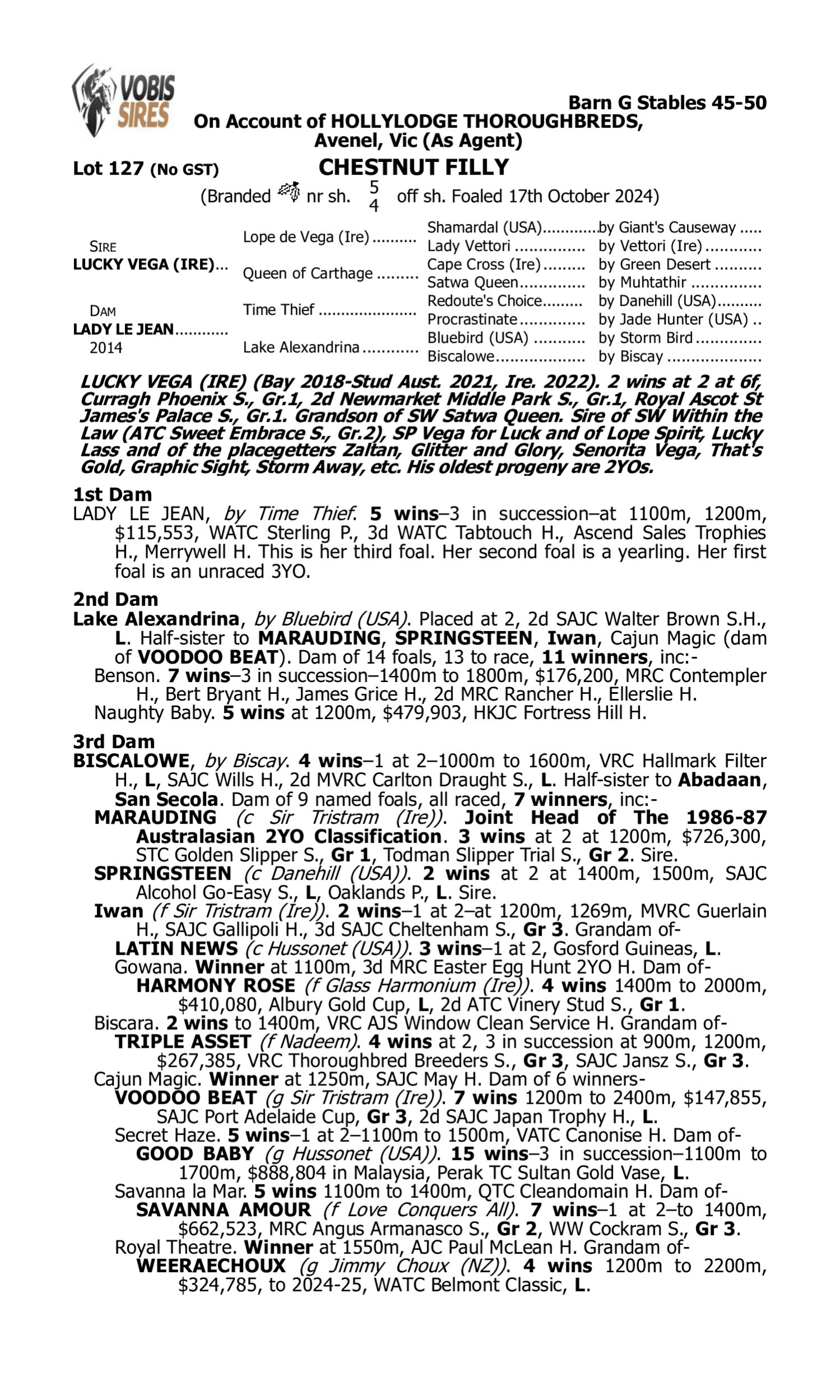 Pedigree for Lot 127 Lucky Vega (IRE) - Lady le Jean