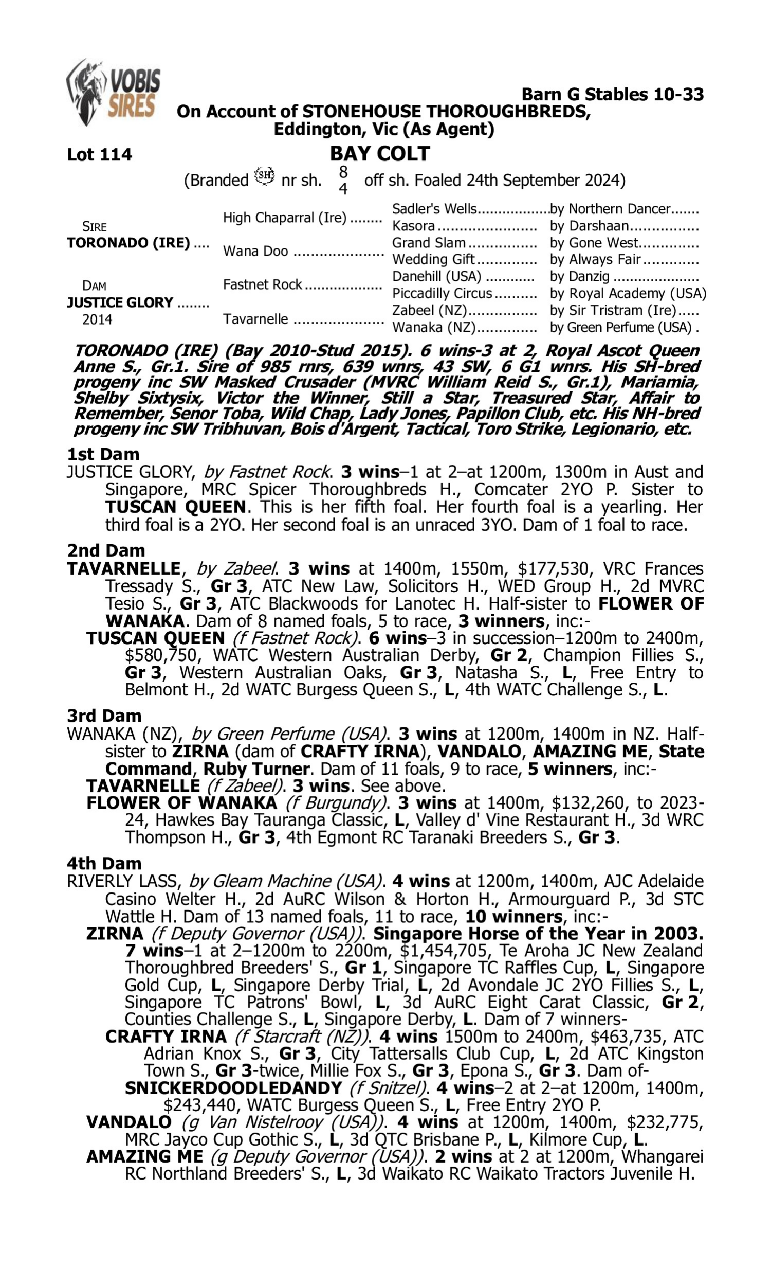 Pedigree for Lot 114 Toronado (IRE) - Justice Glory