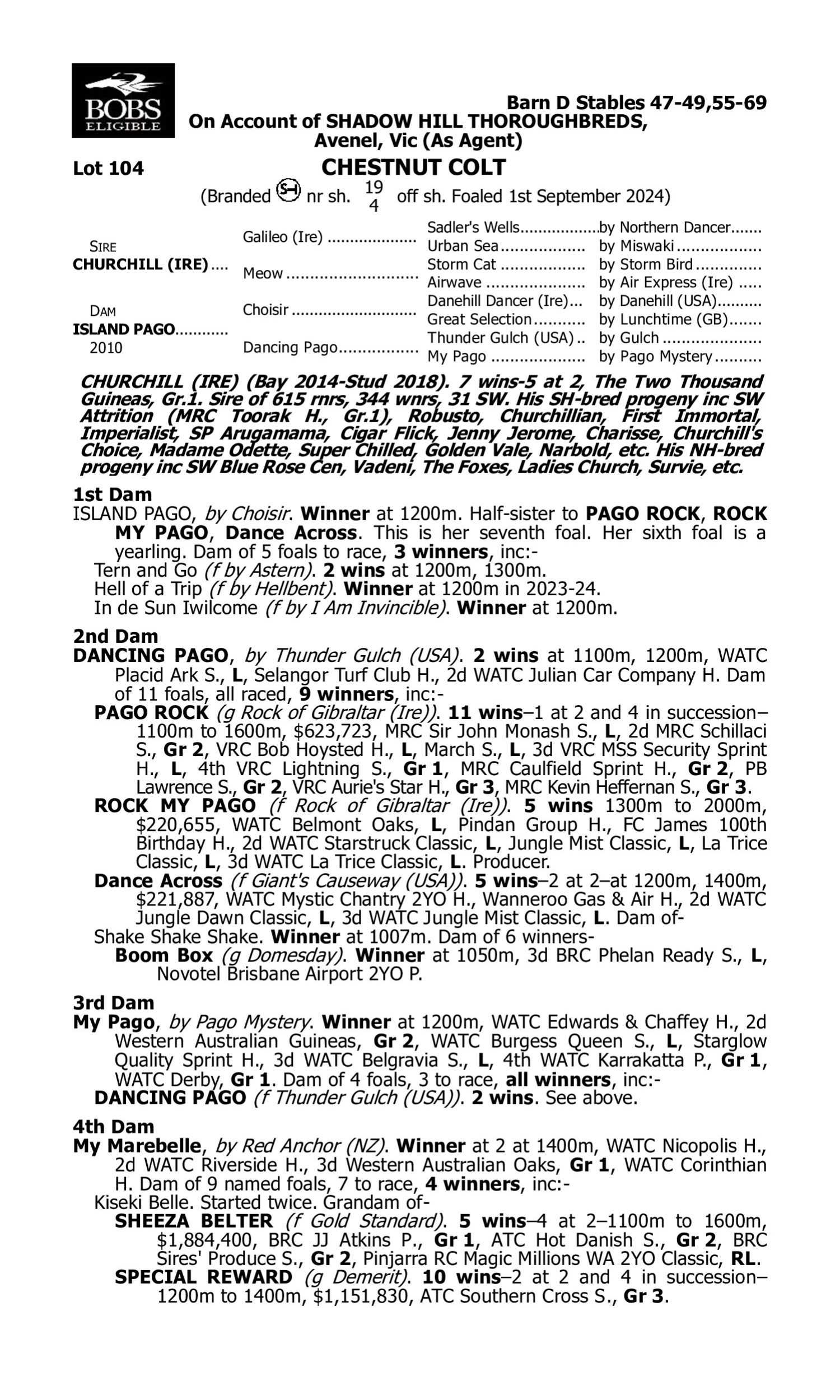 Pedigree for Lot 104 Churchill (IRE) - Island Pago