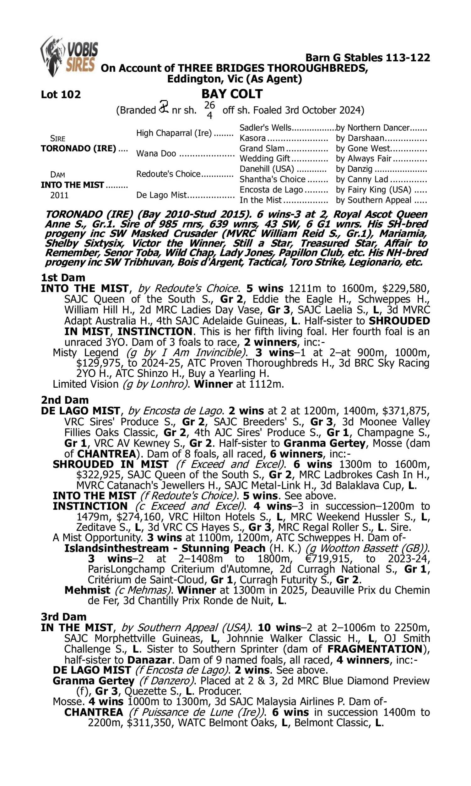 Pedigree for Lot 102 Toronado (IRE) - Into the Mist